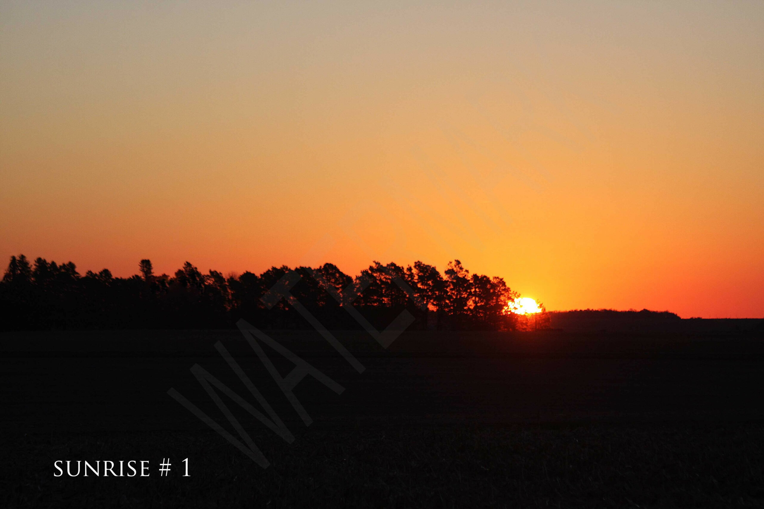 2015-11-15 DLL NE AM 009 # 1 wo br copy_wm