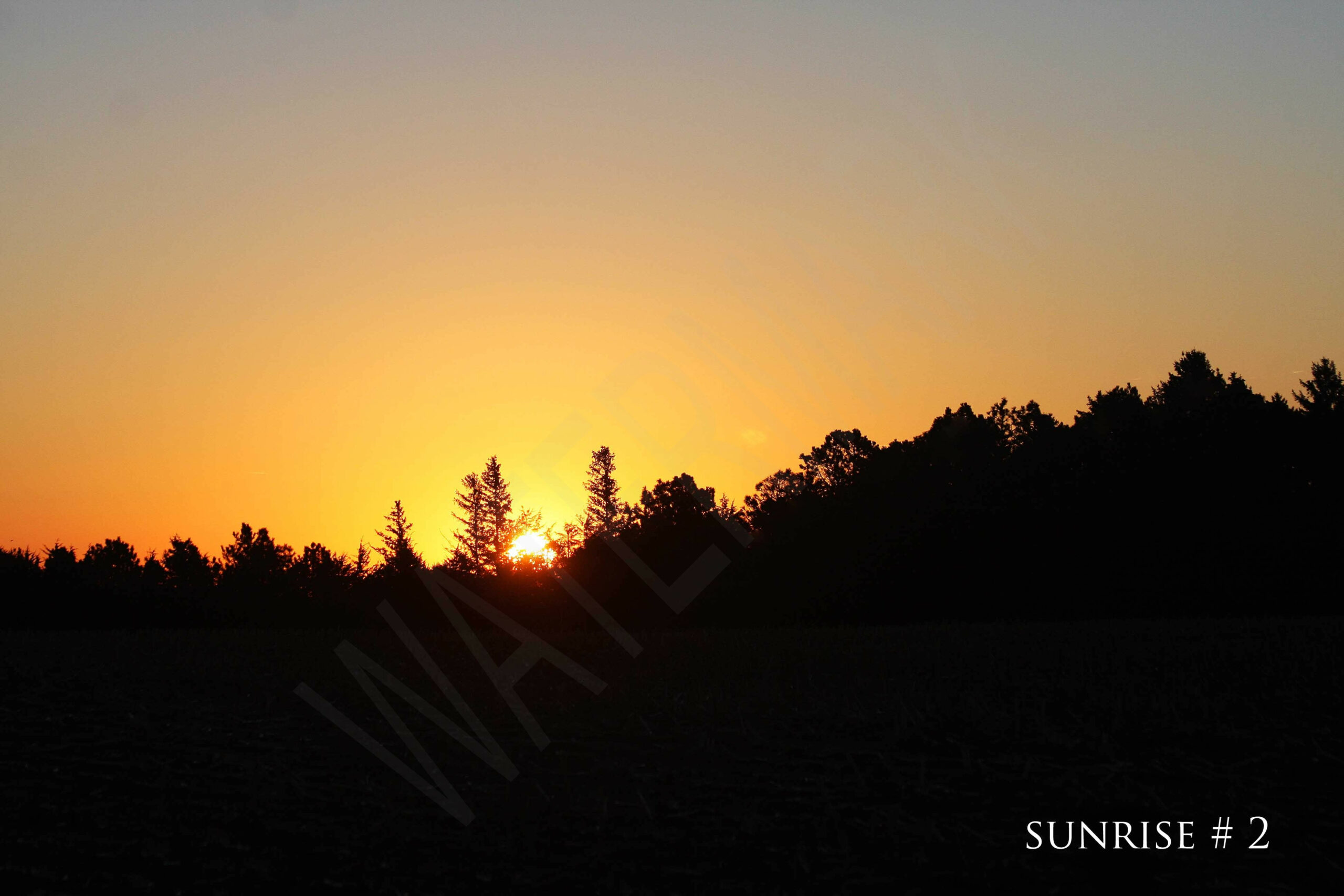 2015-11-15 DLL NE AM 015 # 2 wo br copy_wm