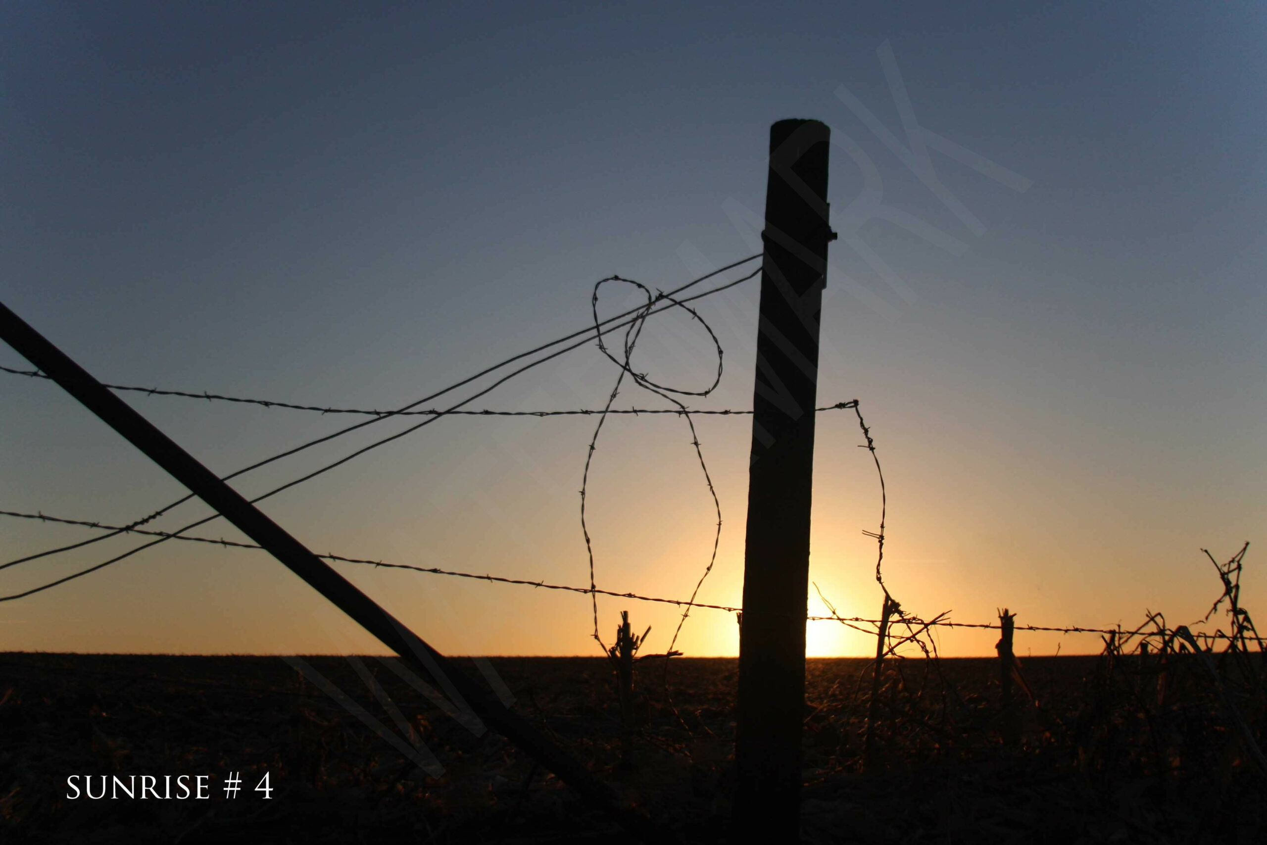 2015-11-15 DLL NE AM 026 # 4 wo br copy_wm