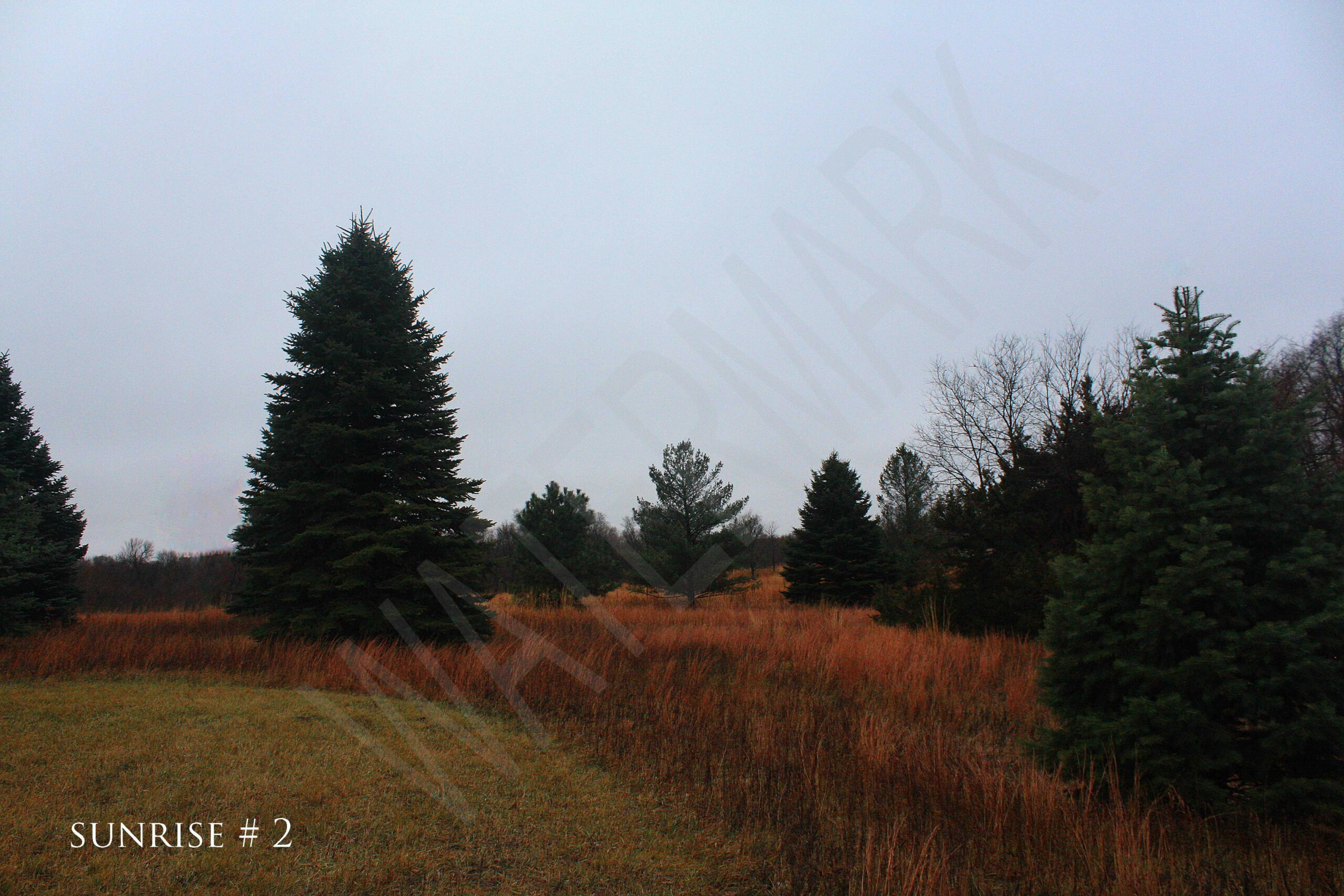 2015-12-13 DLL NE AM 005 # 2 wo br copy_wm_wm