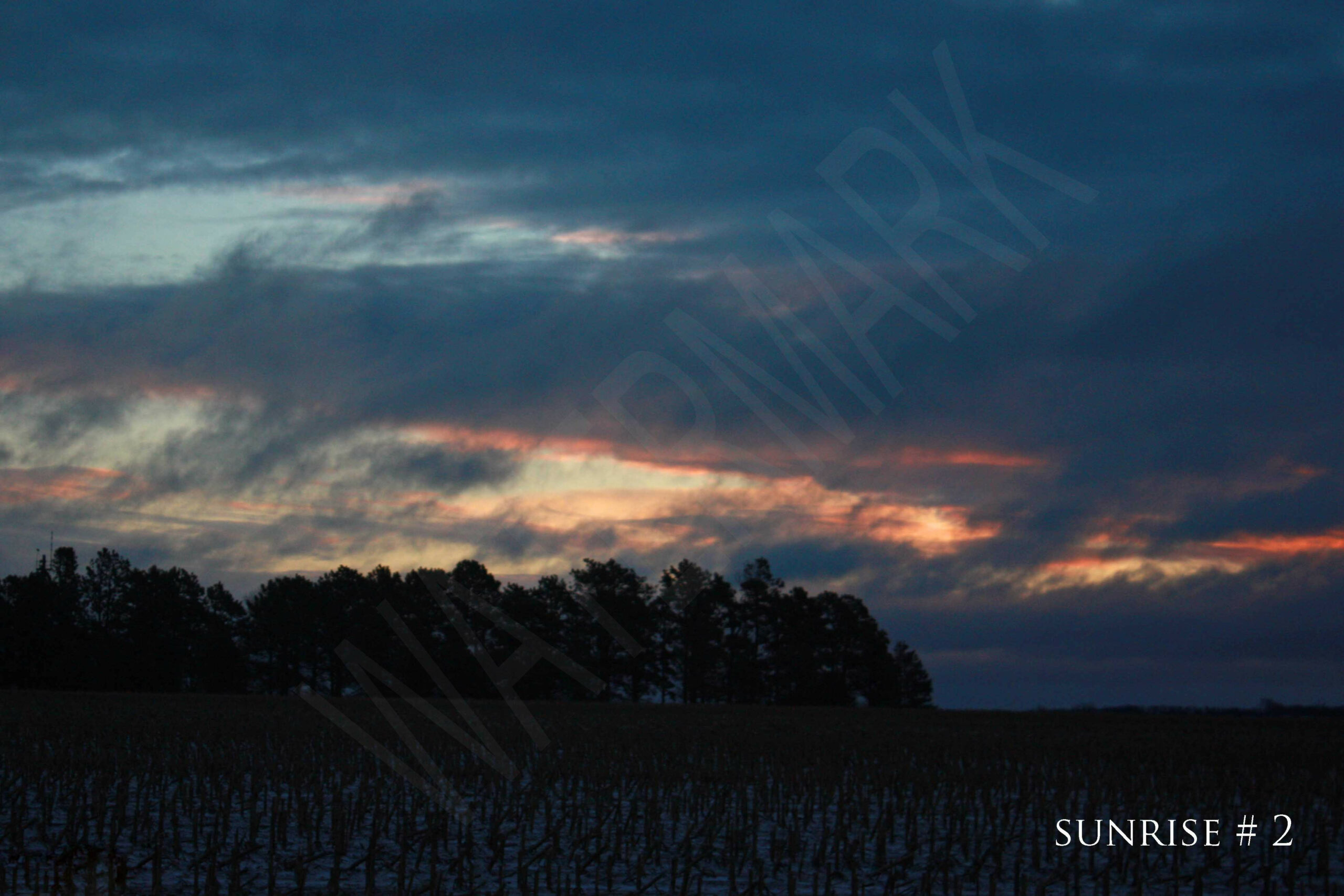 2015-12-16 AM Rebel 013 # 2 wo br copy_wm