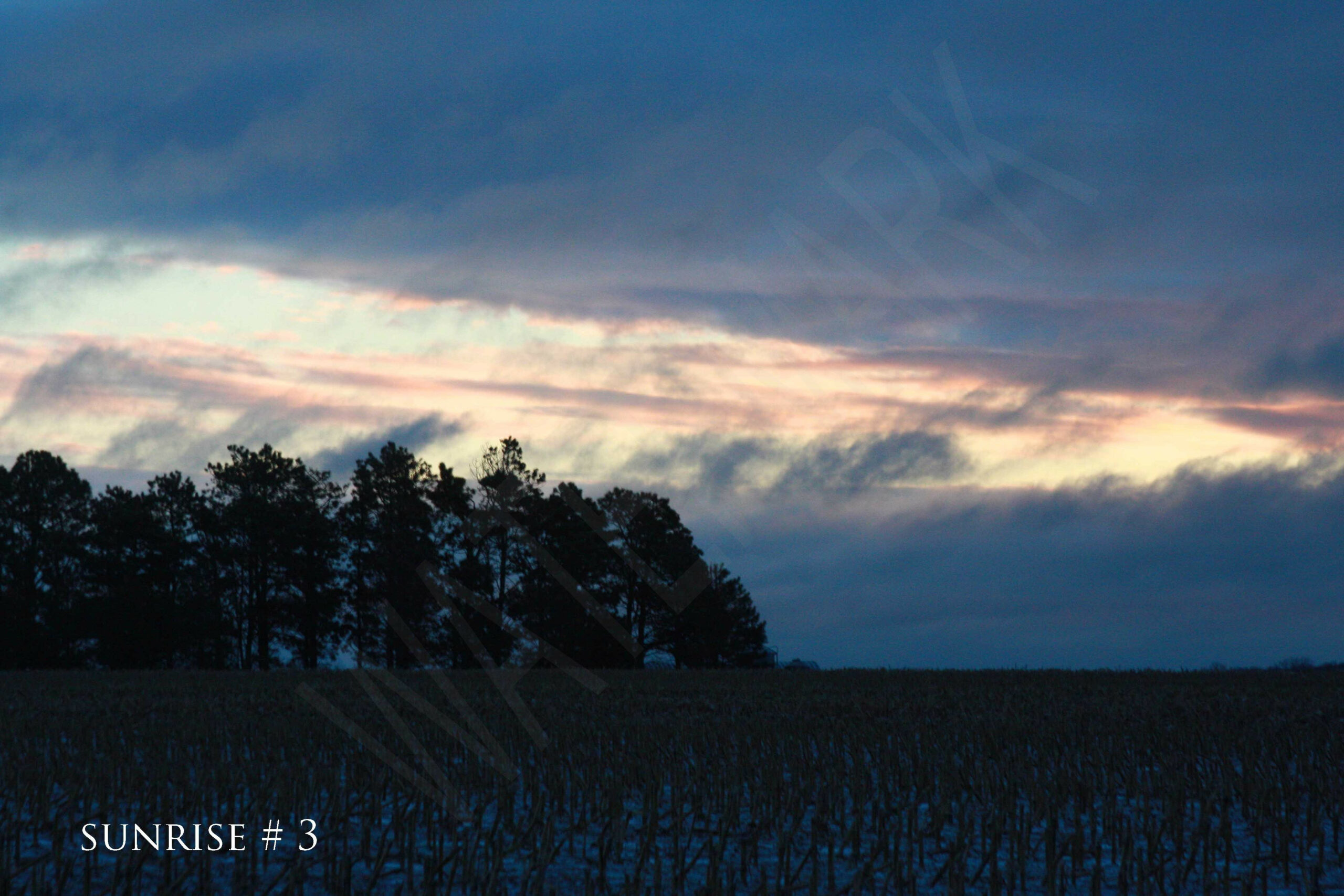 2015-12-16 AM Rebel 019 # 3 wo br copy_wm