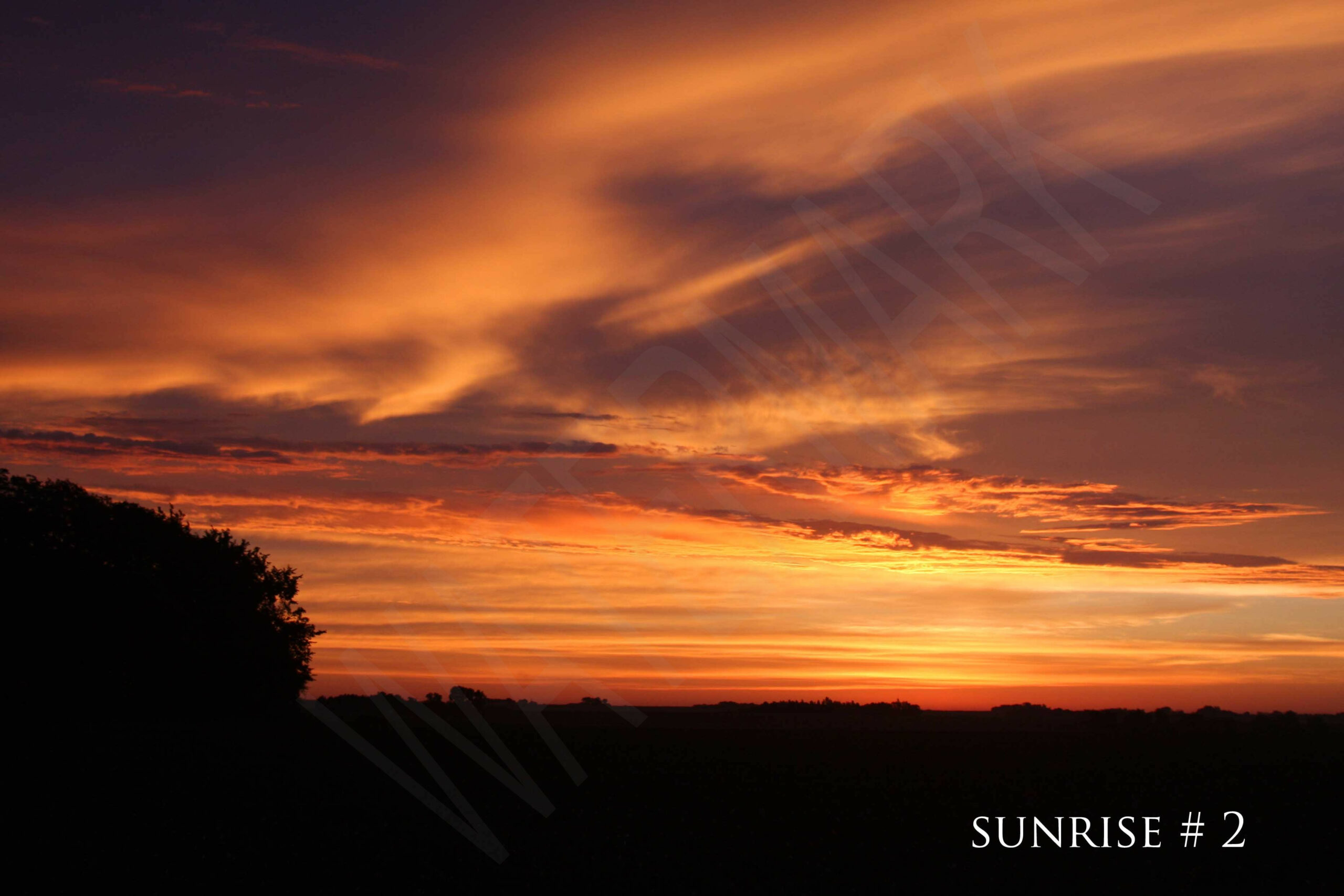 2015-06-21 AM # 3_wm