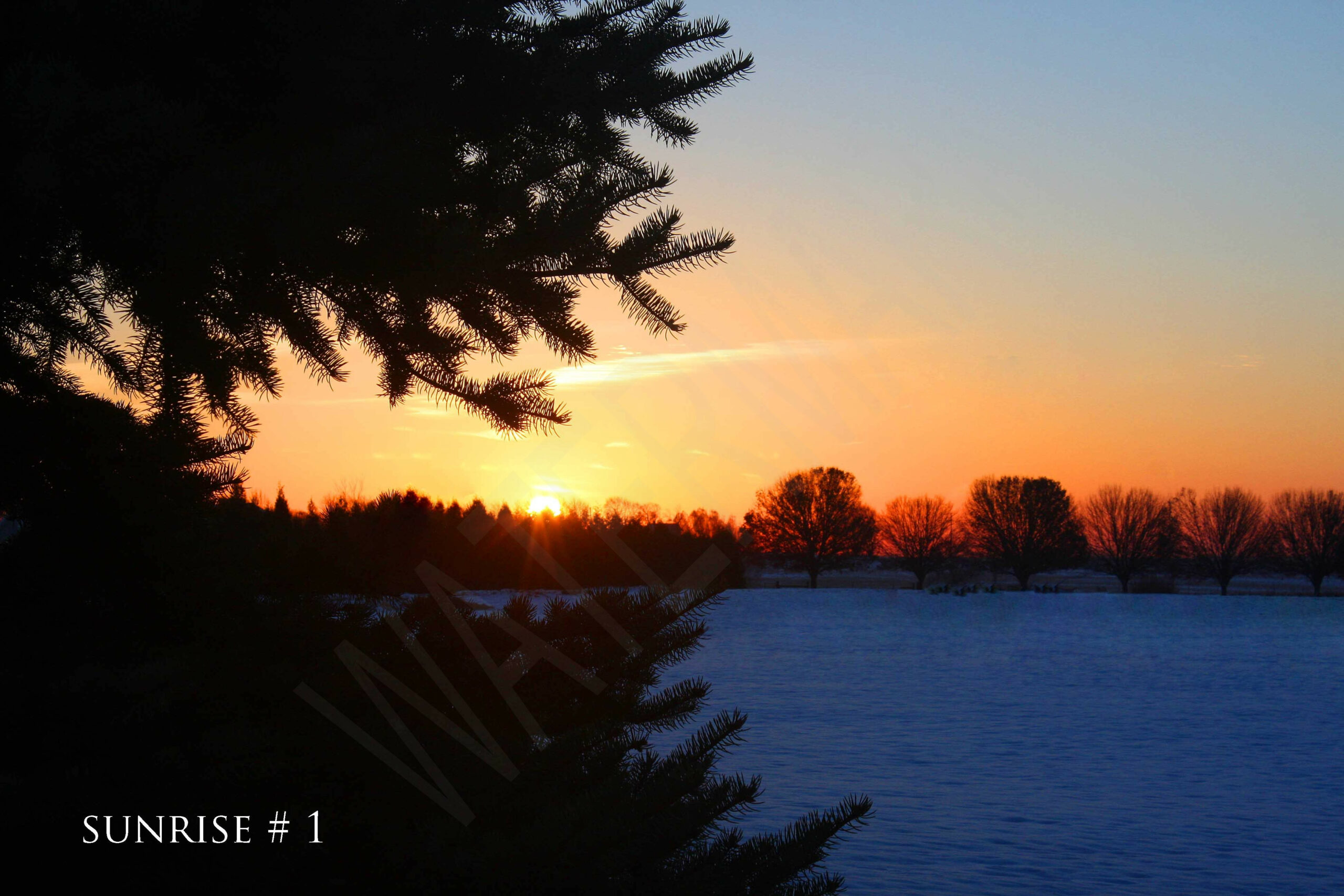 2015-11-25 DLL IND AM 041 # 1 wo br copy_wm