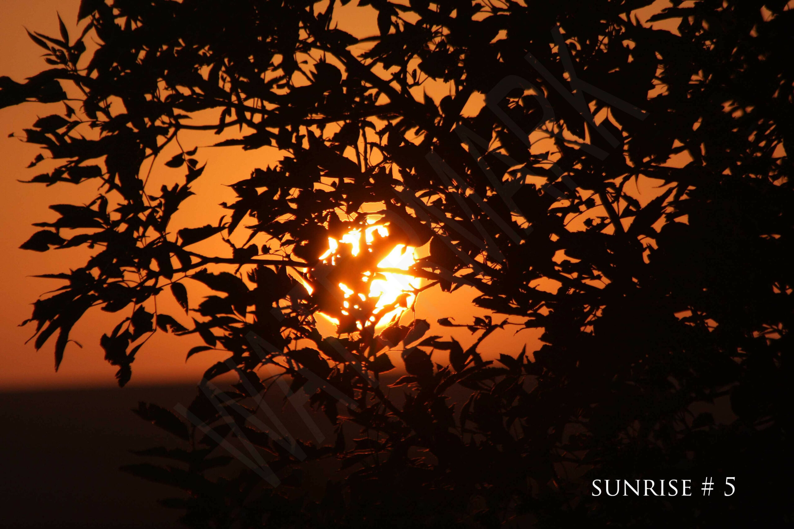 2014-09-03 DLL NE AM 021 # 5 wo br copy_wm