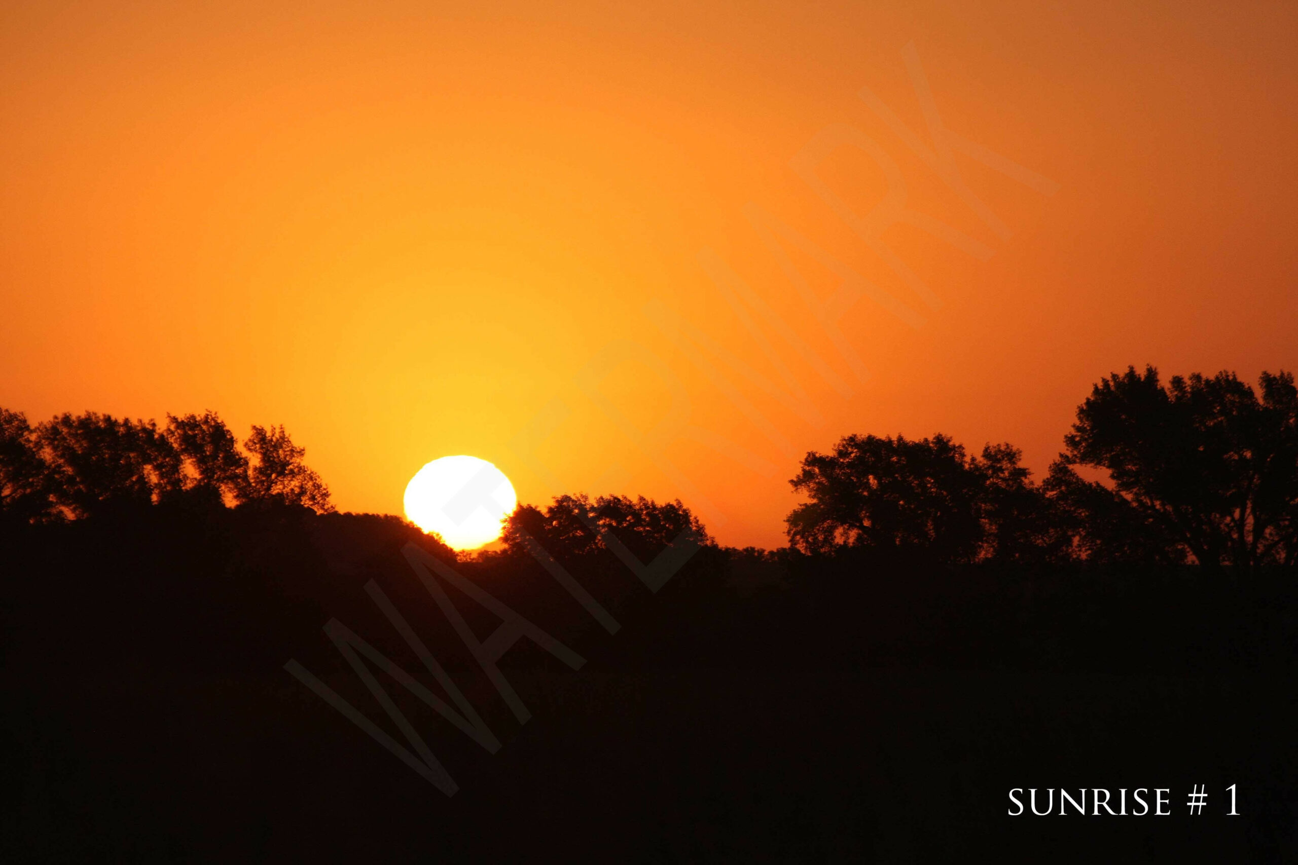 2014-09-04 DLL NE AM 003 # 1 wo br copy_wm