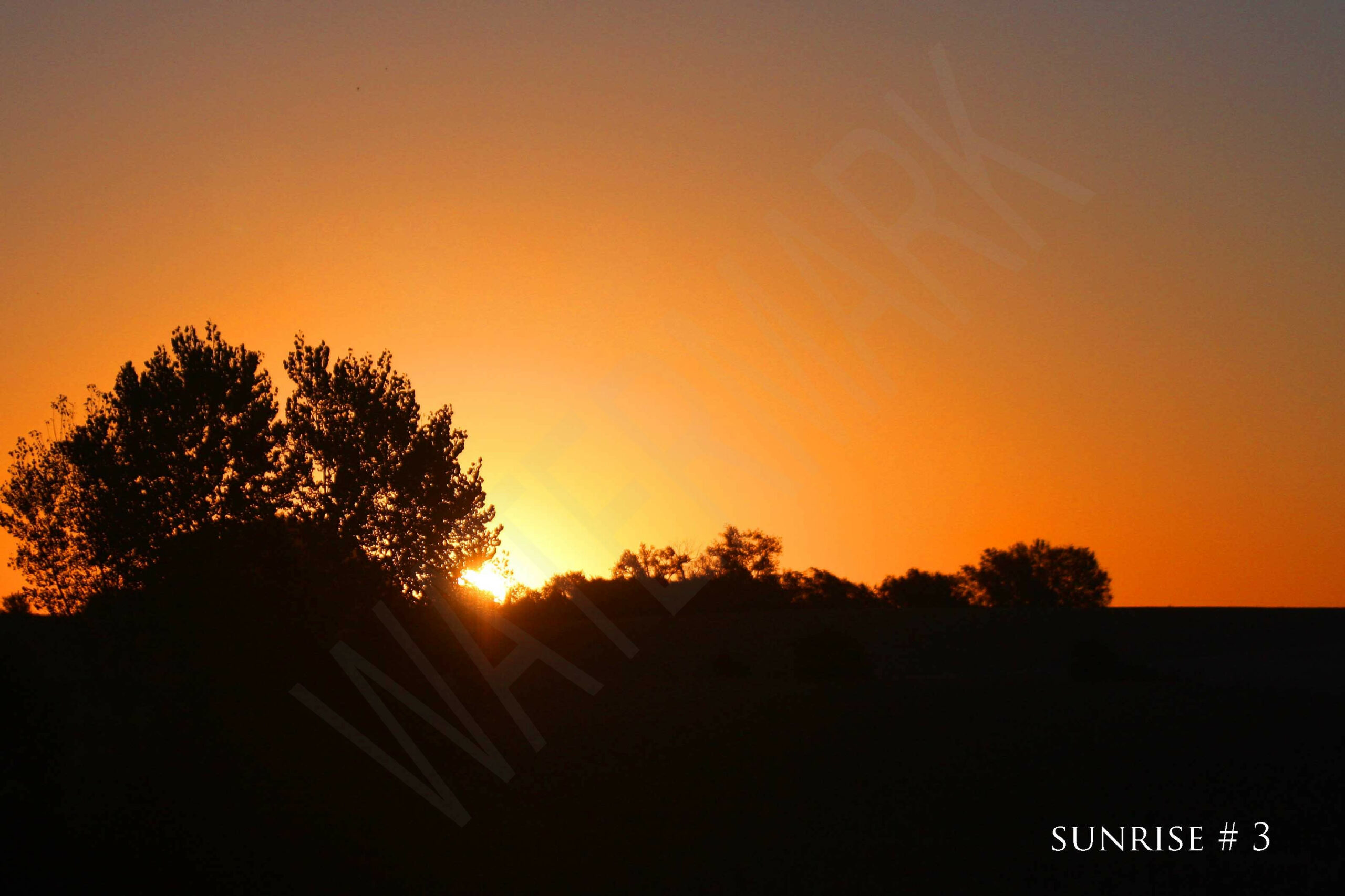 2014-10-11 DLL NE AM 007 # 3 wo br copy_wm