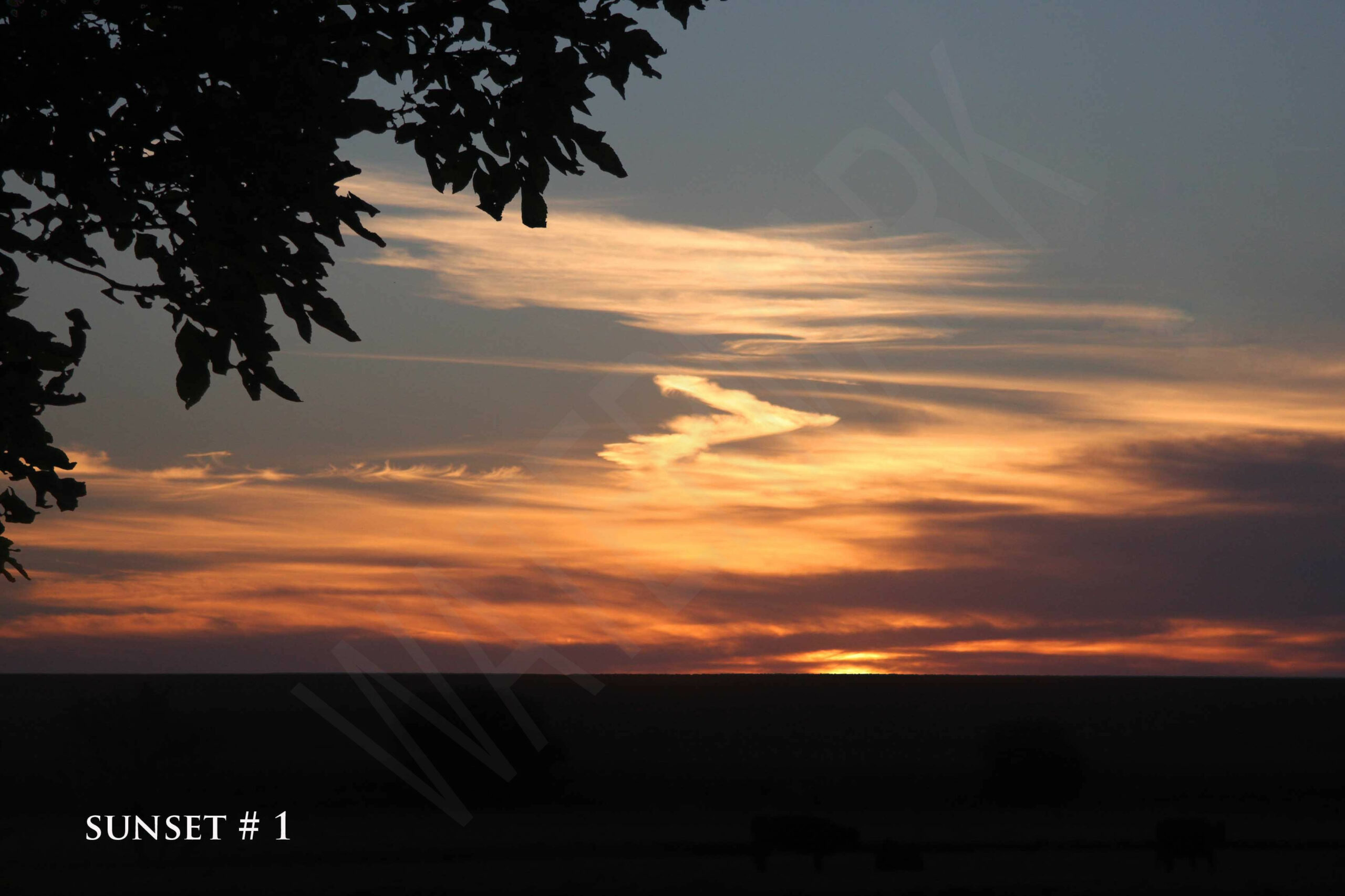 2014-10-26 DLL NE PM 002 # 1 wo br photoshopped copy_wm