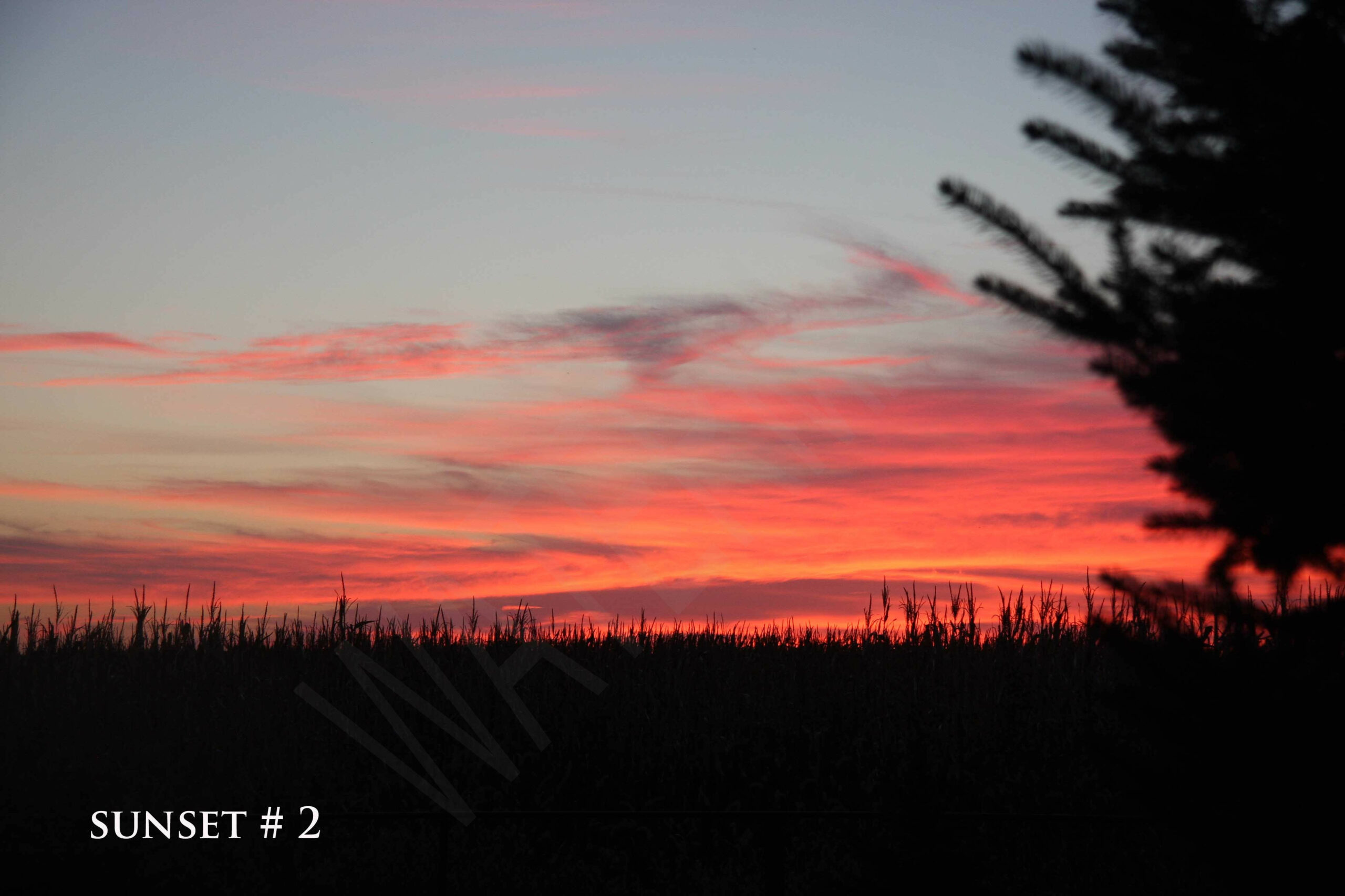 2014-10-26 DLL NE PM 007 copy_wm