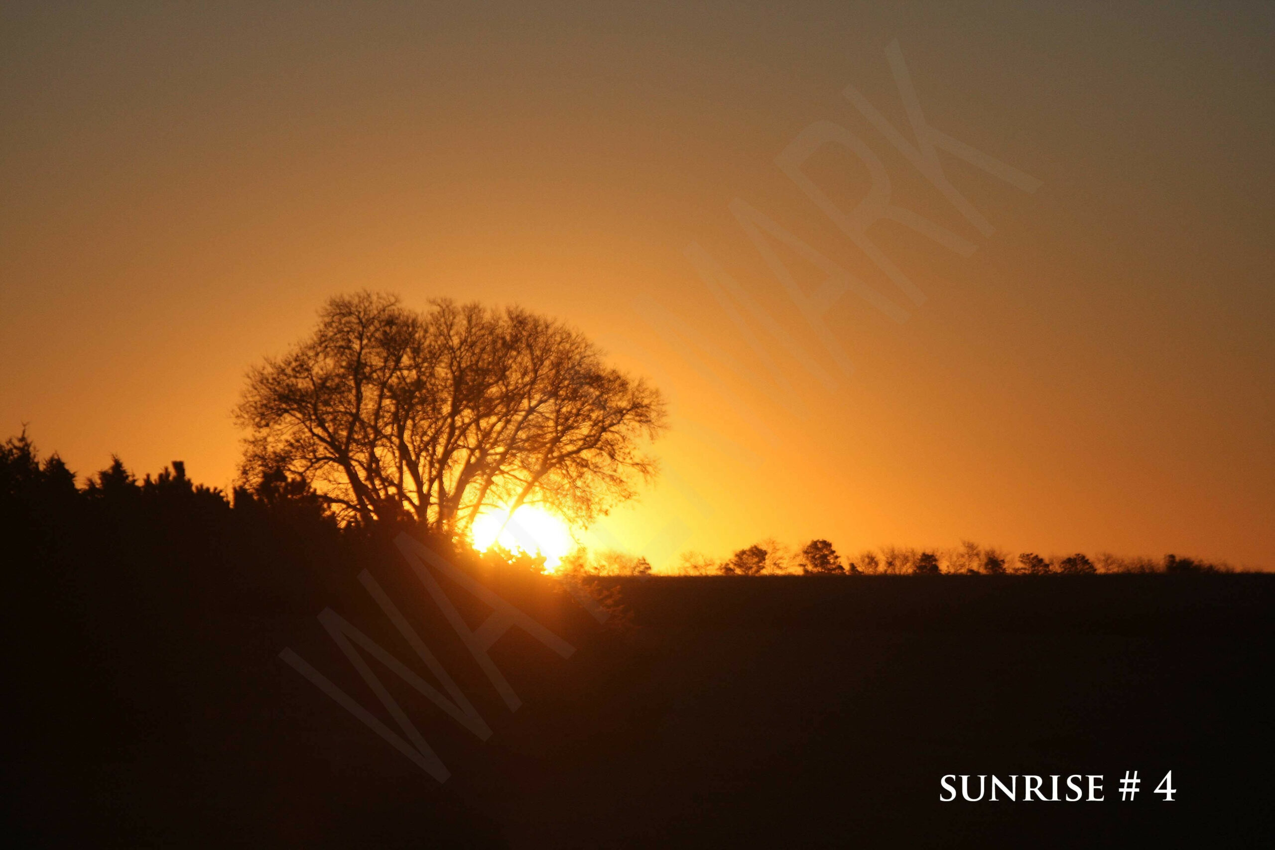 2014-10-28 DLL NE AM 015 # 4 wo br copy_wm