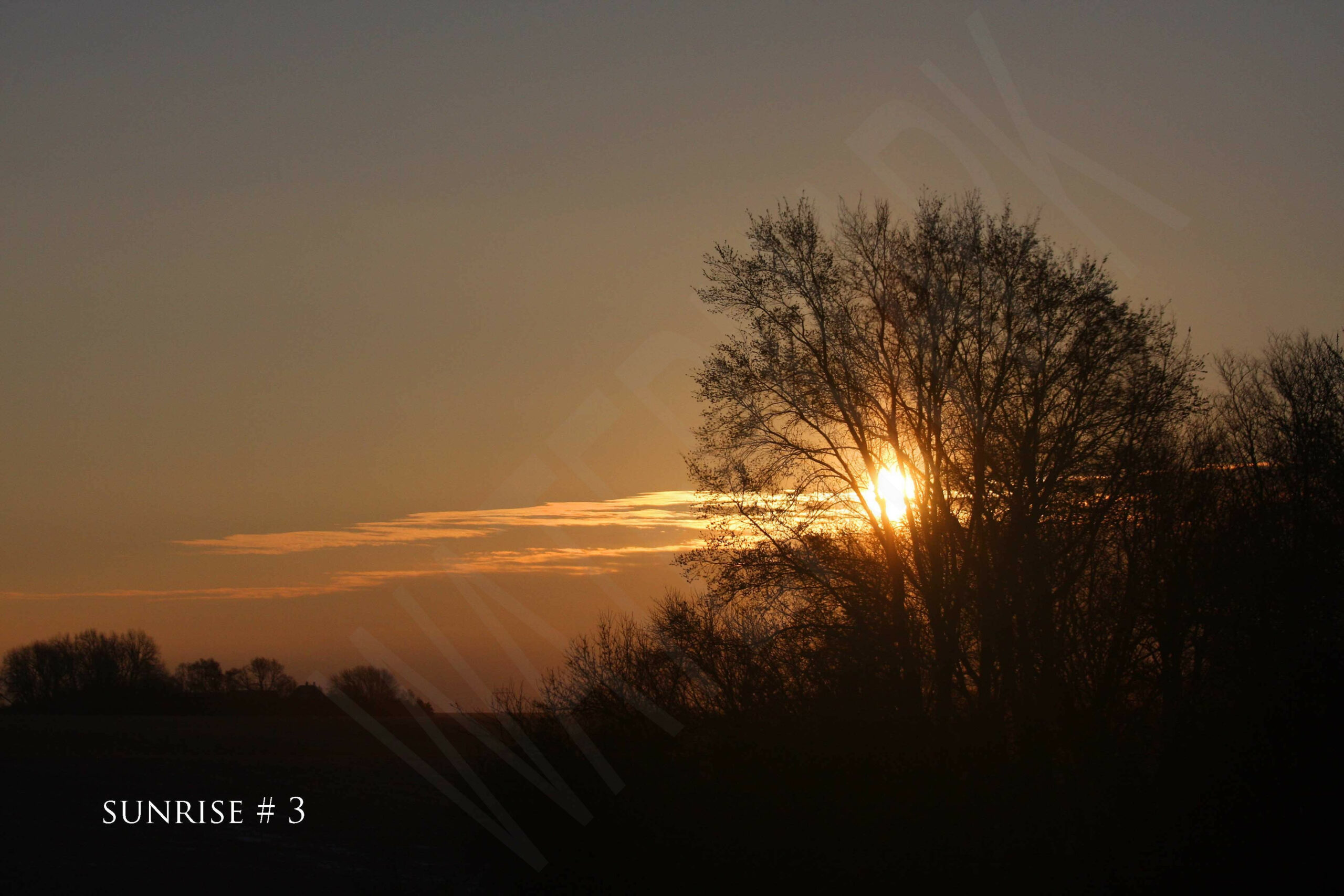 2014-11-12 DLL NE AM 026 #3 wo br copy_wm