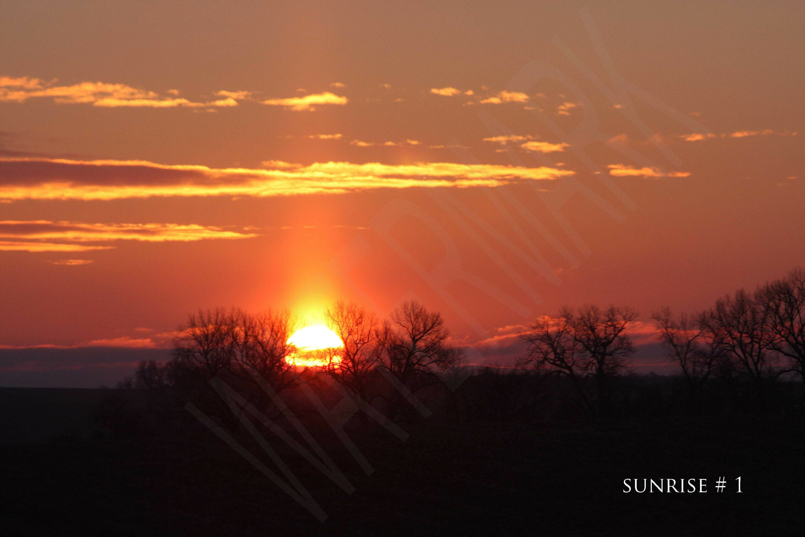 2014-11-13 DLL NE AM 013 # 1 wo br copy_wm