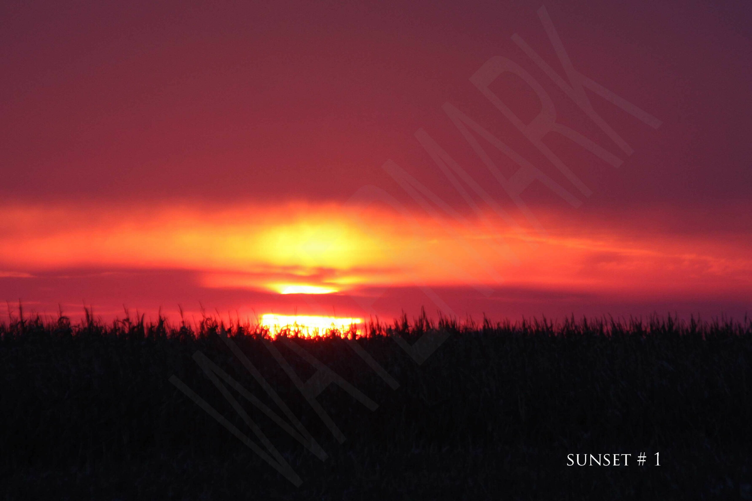 2014-11-21 DLL NE PM 002 # 1 wo br copy_wm