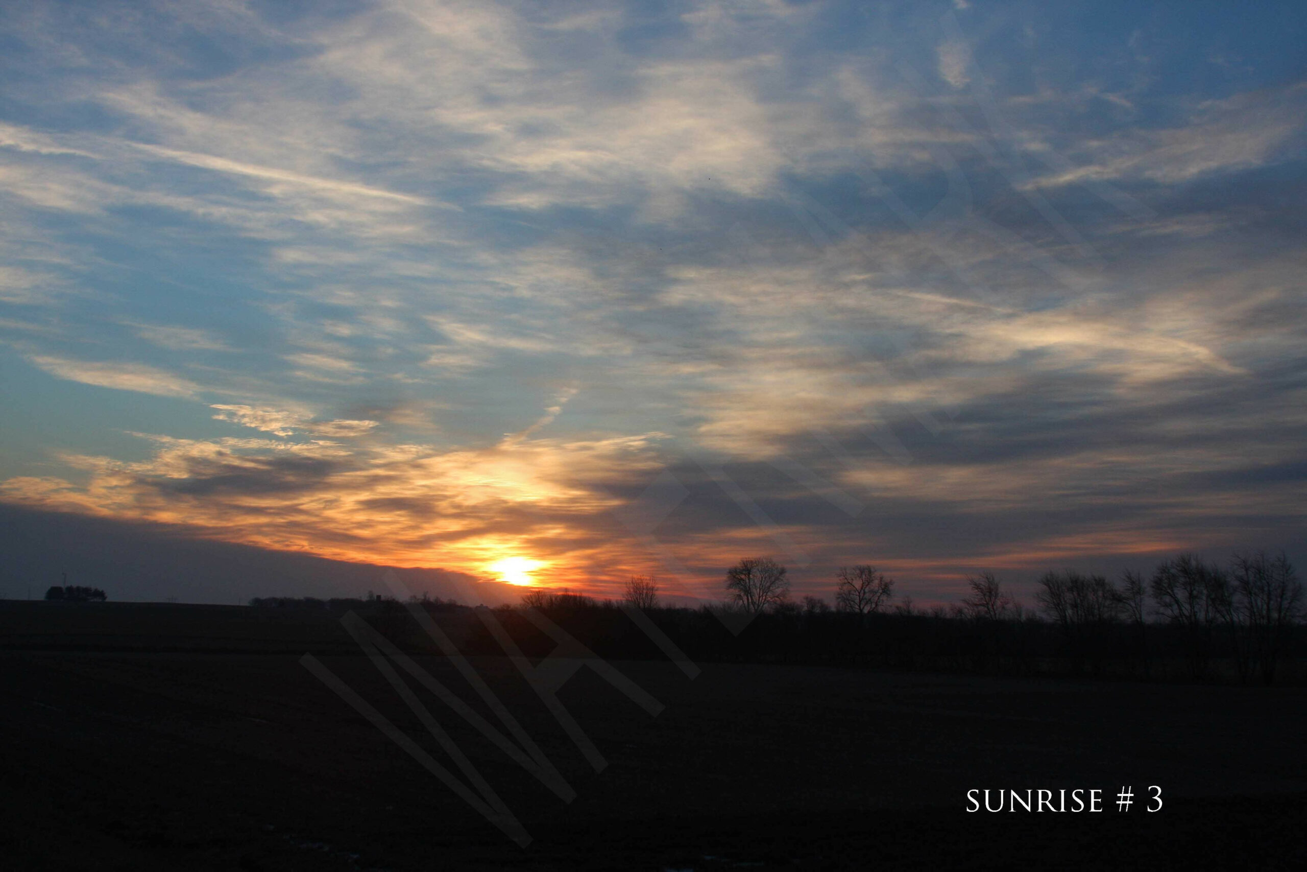 2014-11-29 DLL IND AM 030 # 3 wo br copy_wm