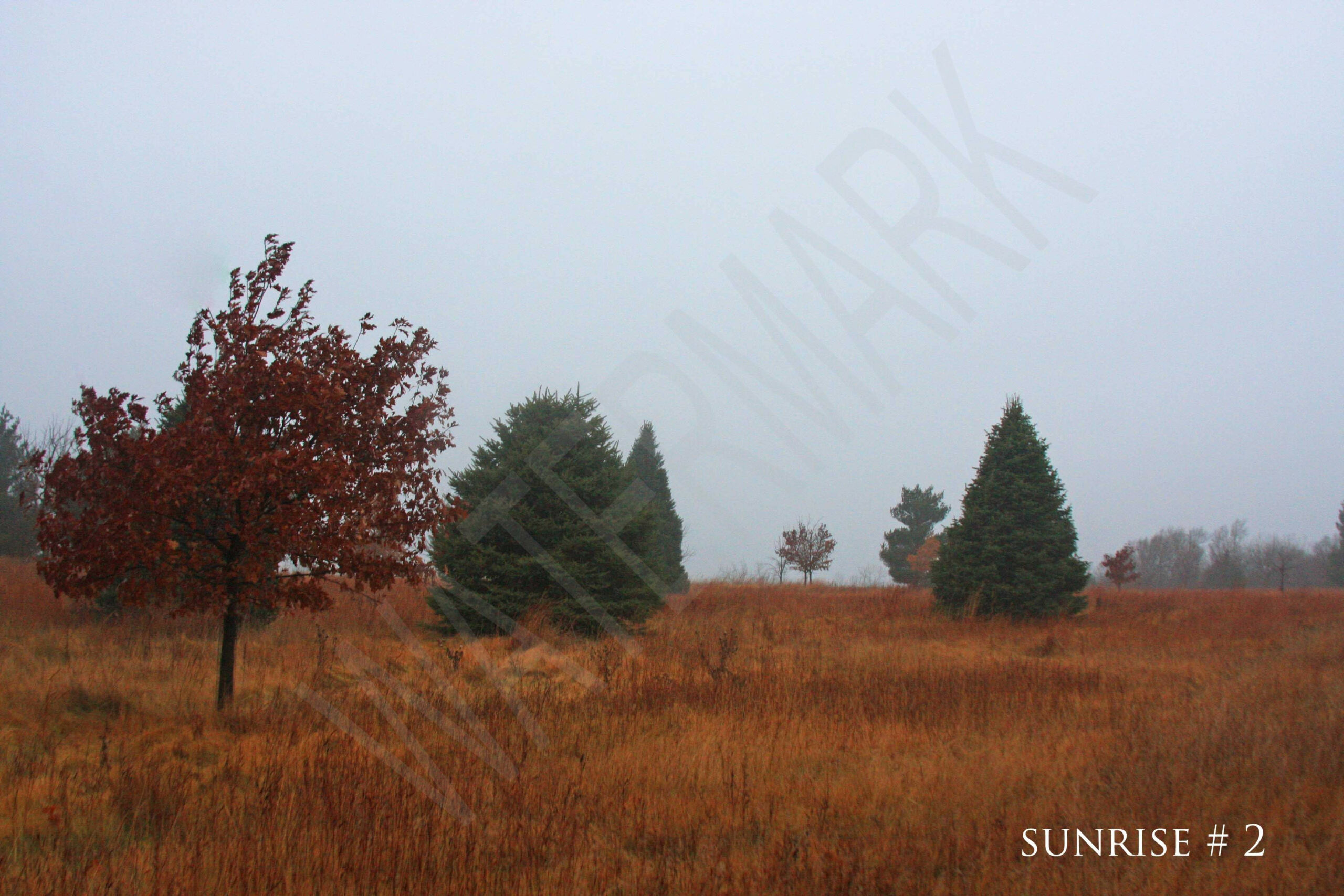 2014-12-14 DLL NE AM 005 # 2 wo br copy_wm_wm