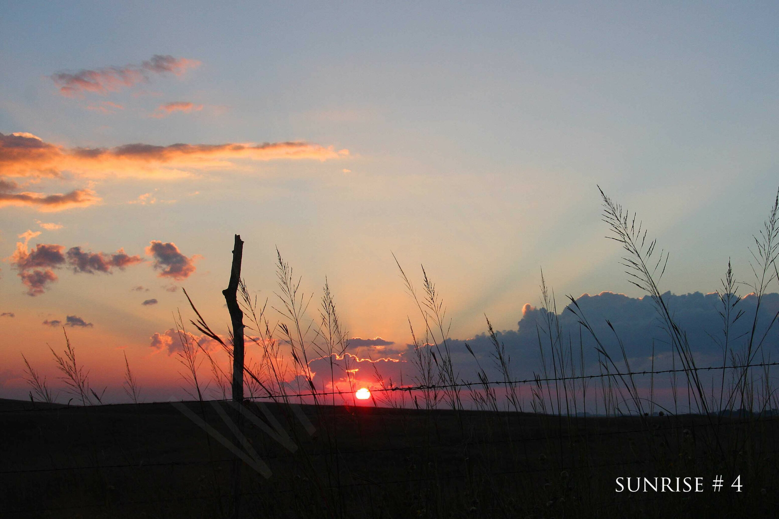 14-09-28 DLL NE AM 051 # 4 wo br copy_wm