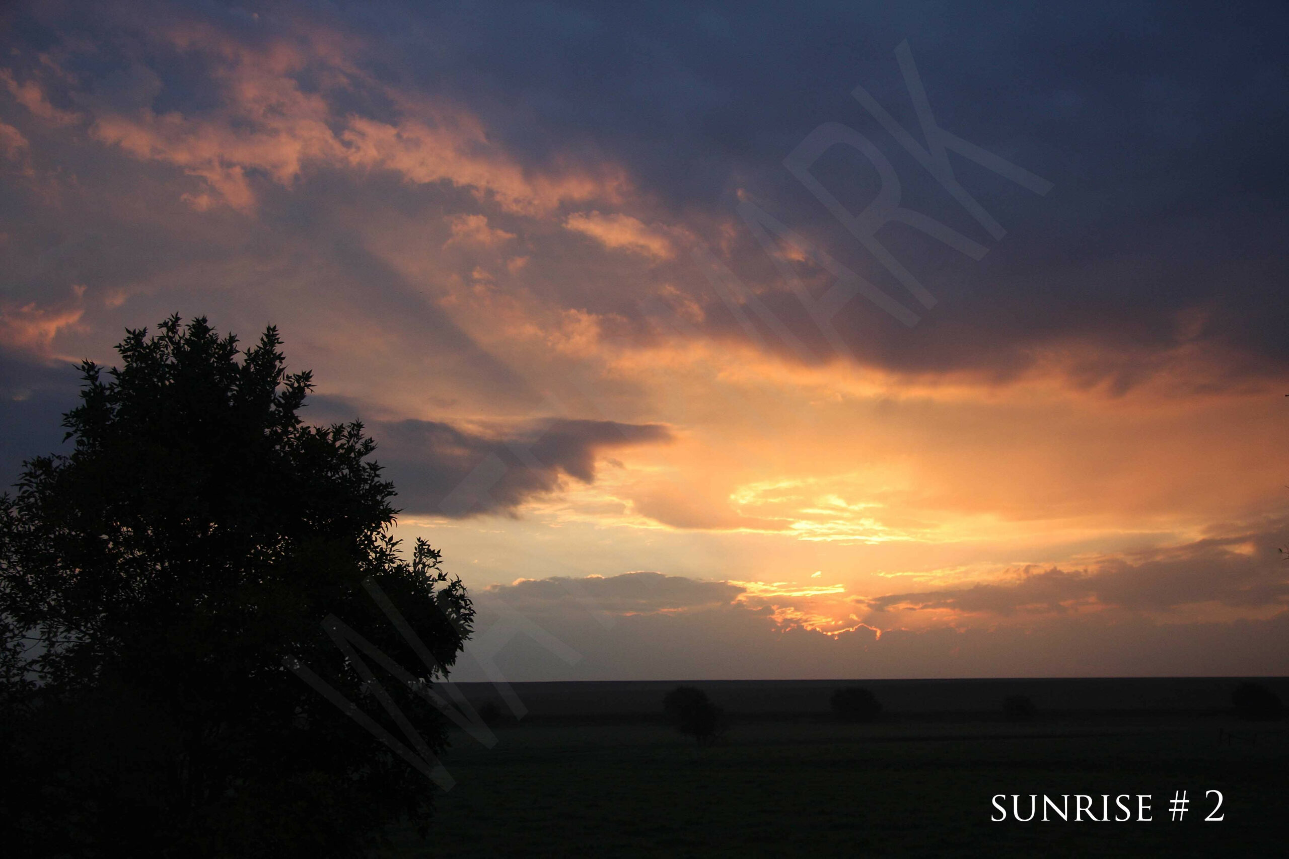 14-09-29 DLL NE AM 080 # 2 wo br - Copy copy_wm