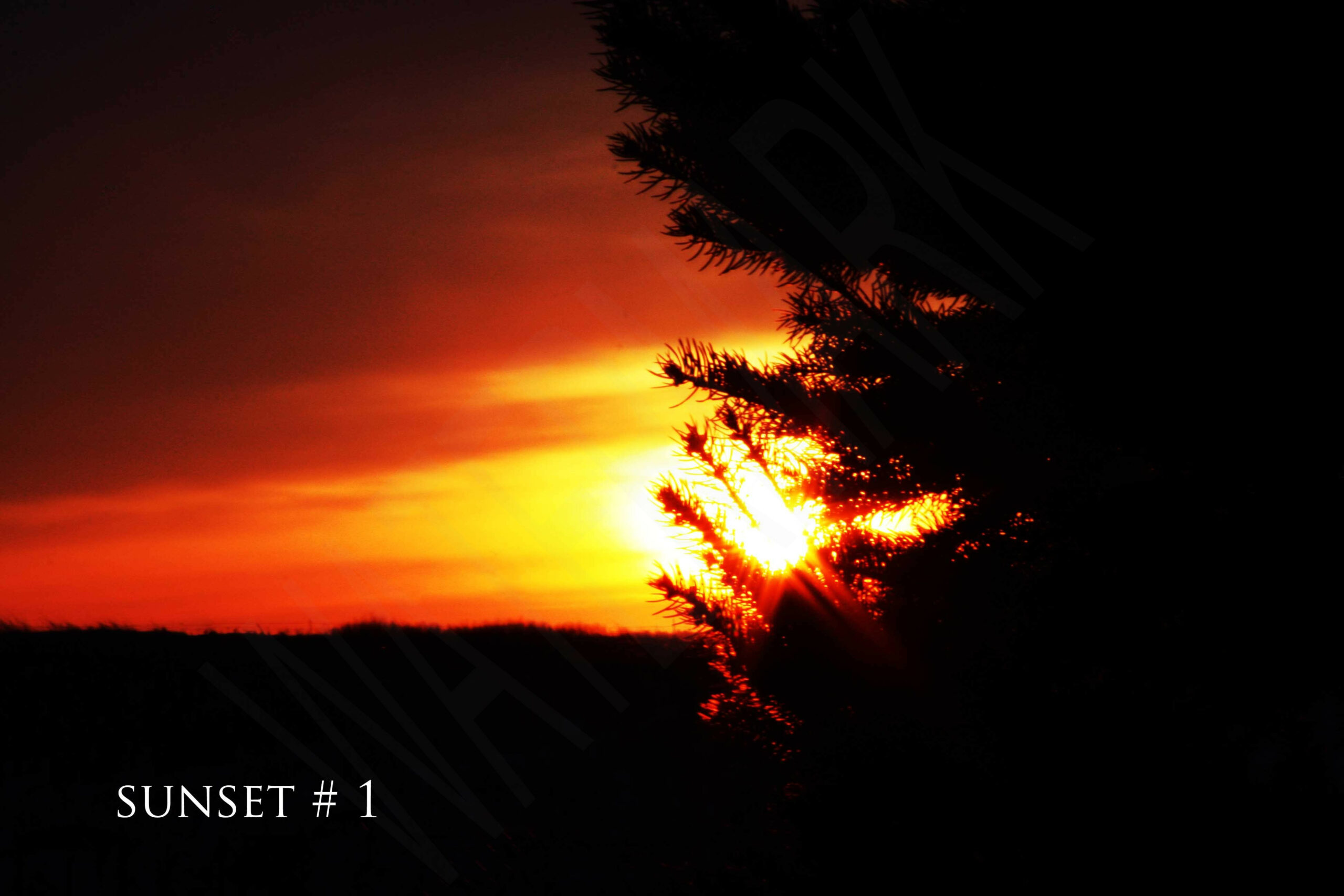 2014-03-02 DLL NE PM 002 # 1 wo br copy_wm