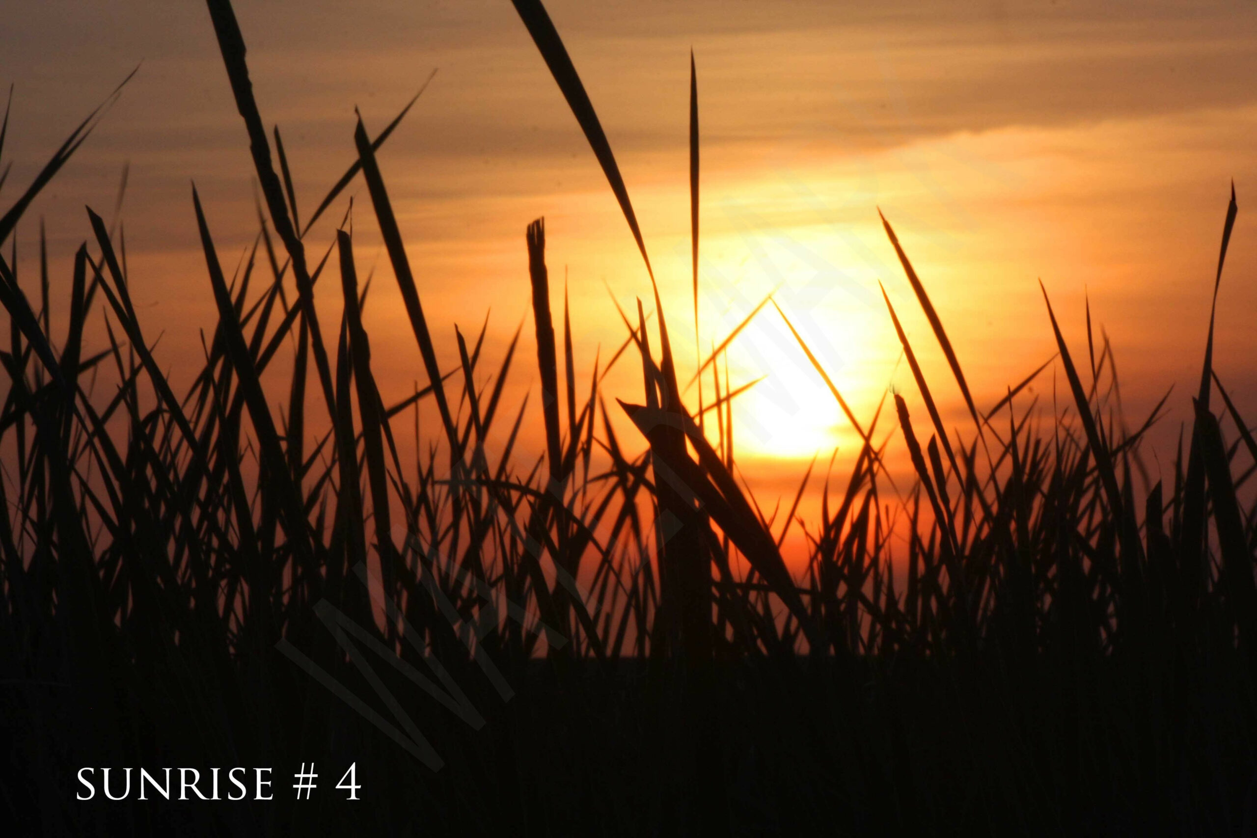 2014-08-22 DLL NE AM 014 # 4 wo br copy_wm