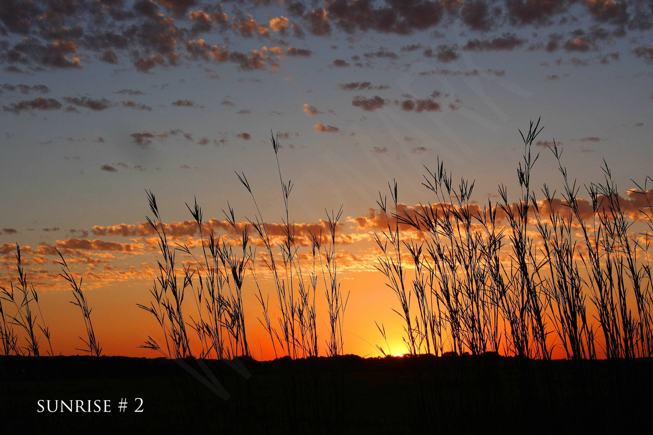 2014-08-24 DLL NE PM 006 # 2 wo br copy_wm