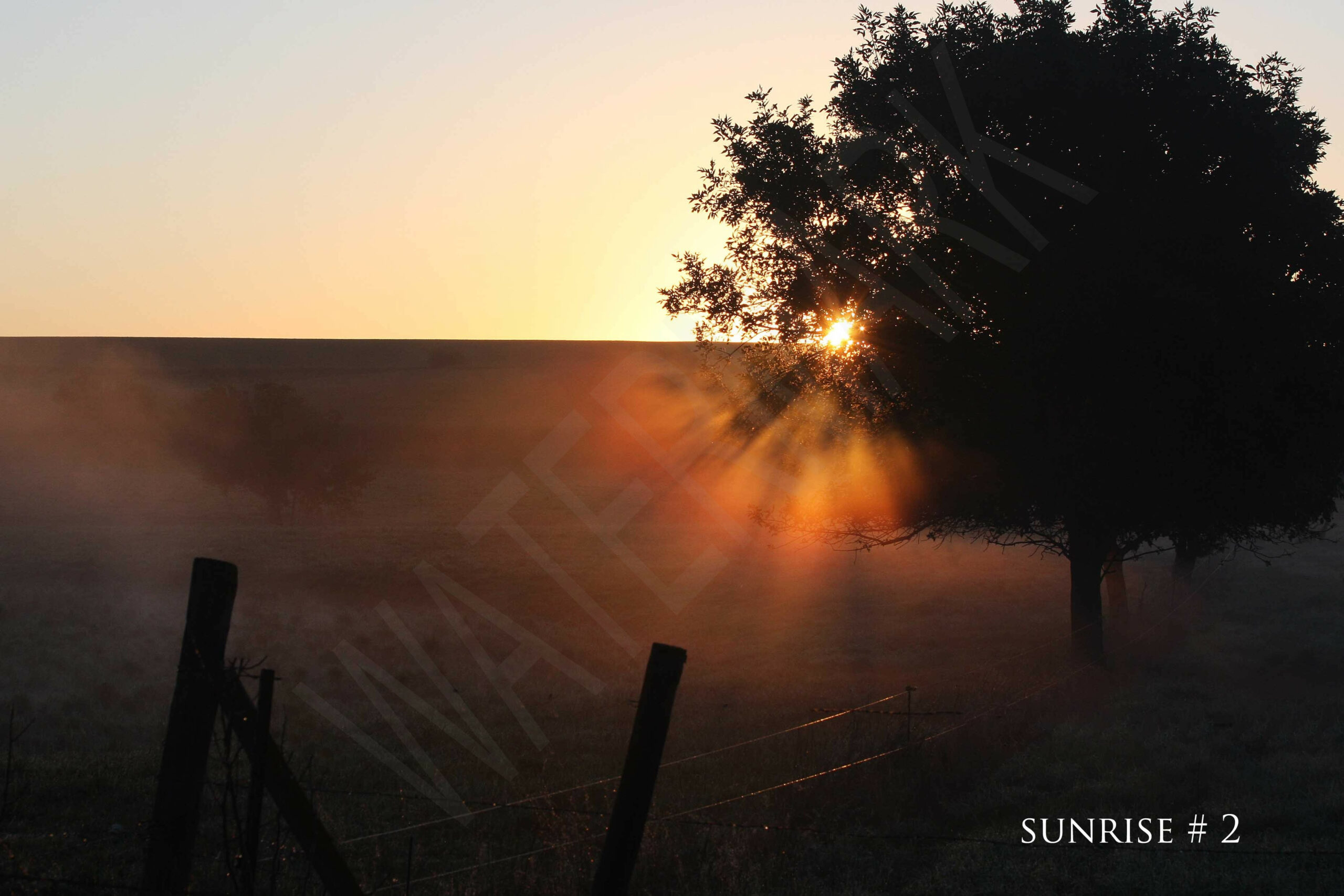 2014-09-07 DLL NE AM 009 # 2 wo br copy_wm