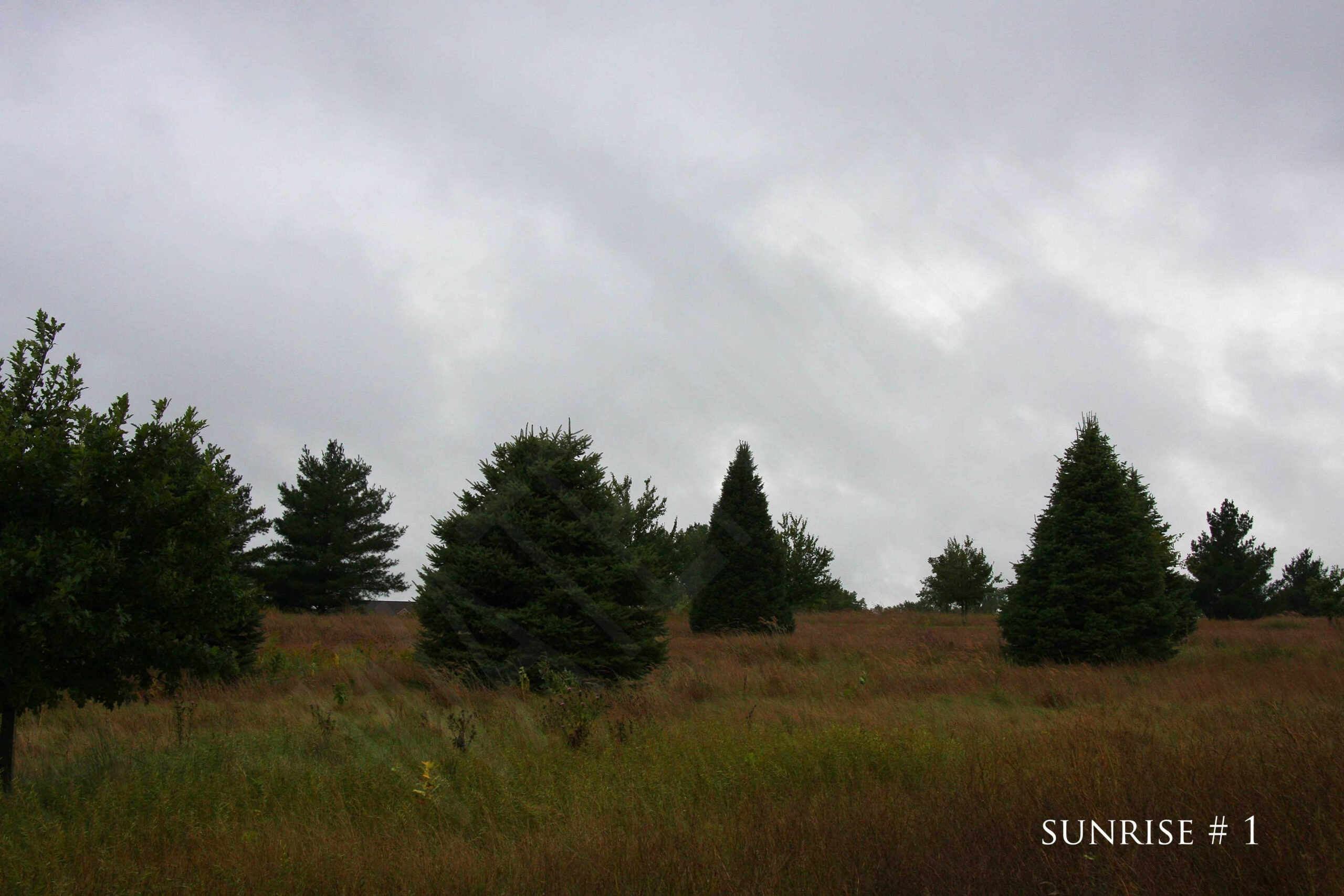 2014-09-12 DLL NE AM 001 copy_wm