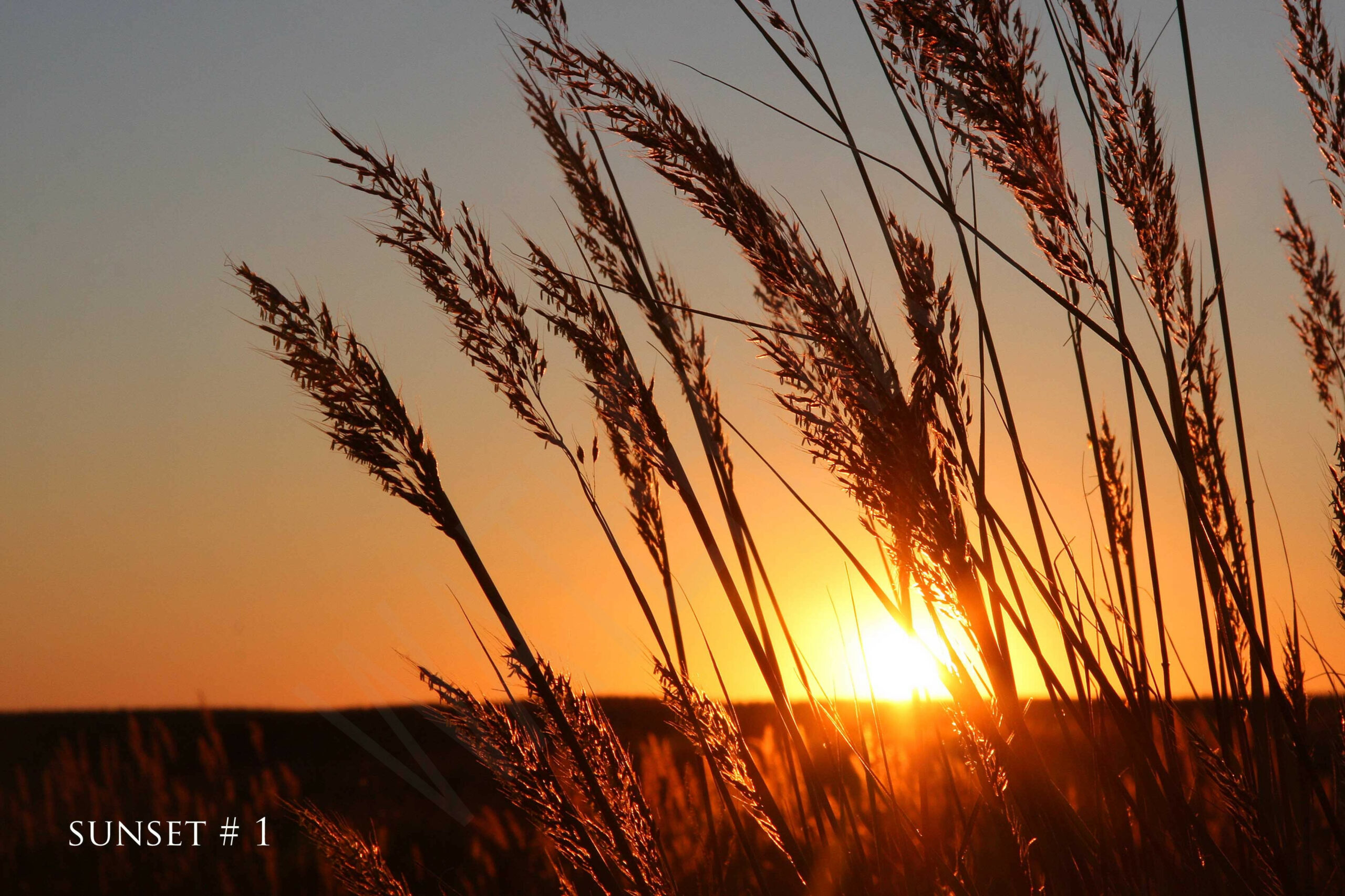 2014-09-15 DLL NE PM 006 # 1 wo br copy_wm