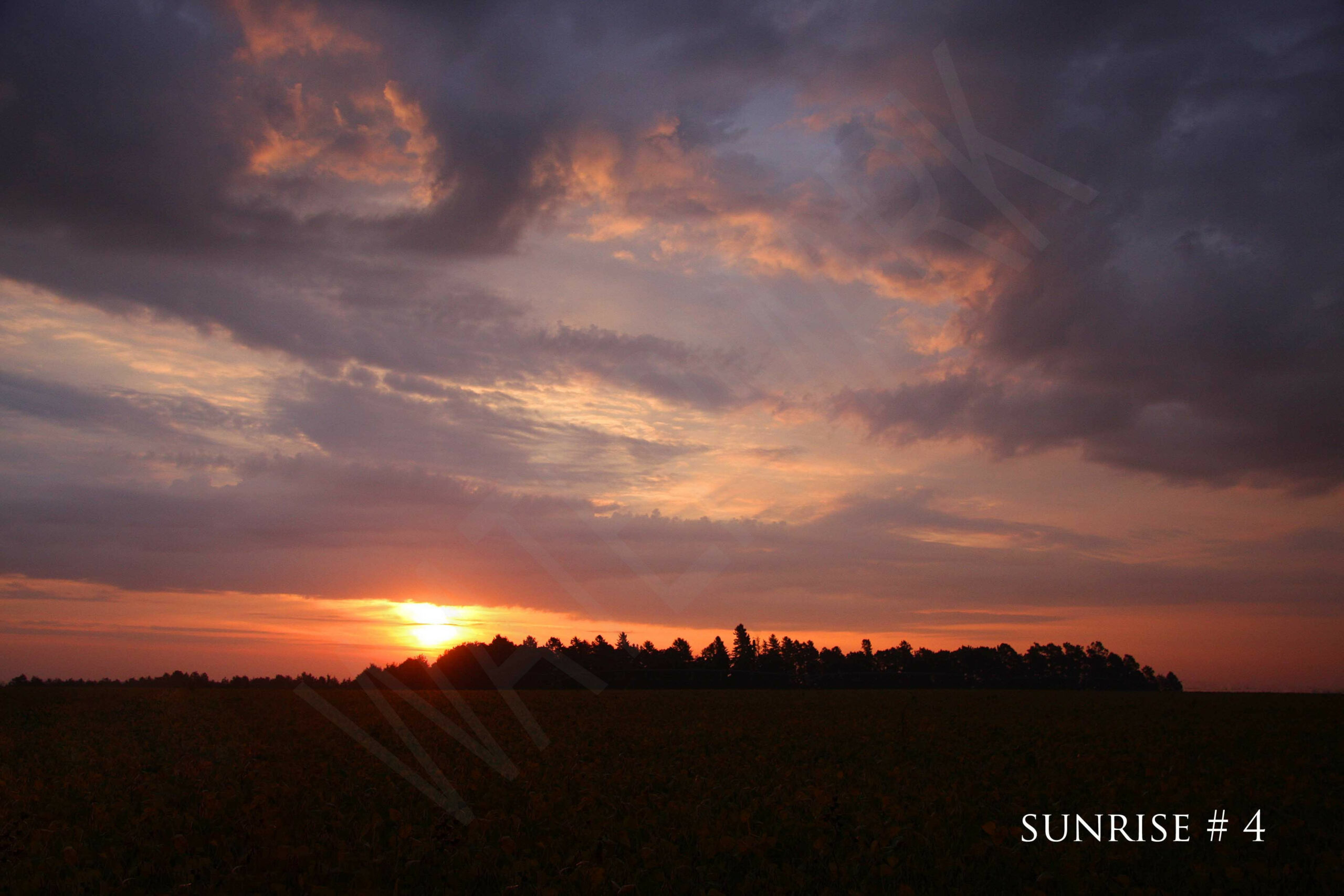 2014-09-30 DLL NE AM 049 # 4 wo br copy_wm