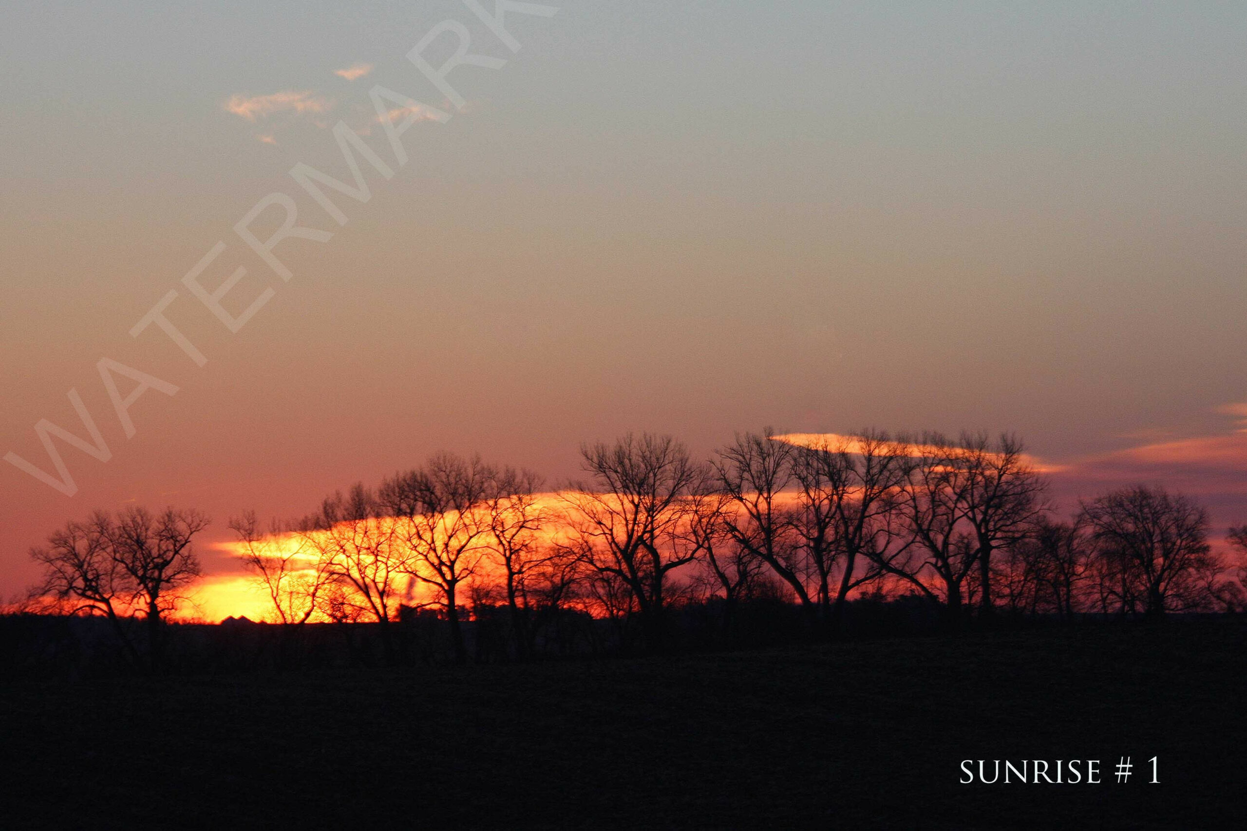 2014-12-02 DLL NE AM 013 # 1 wo br copy_wm