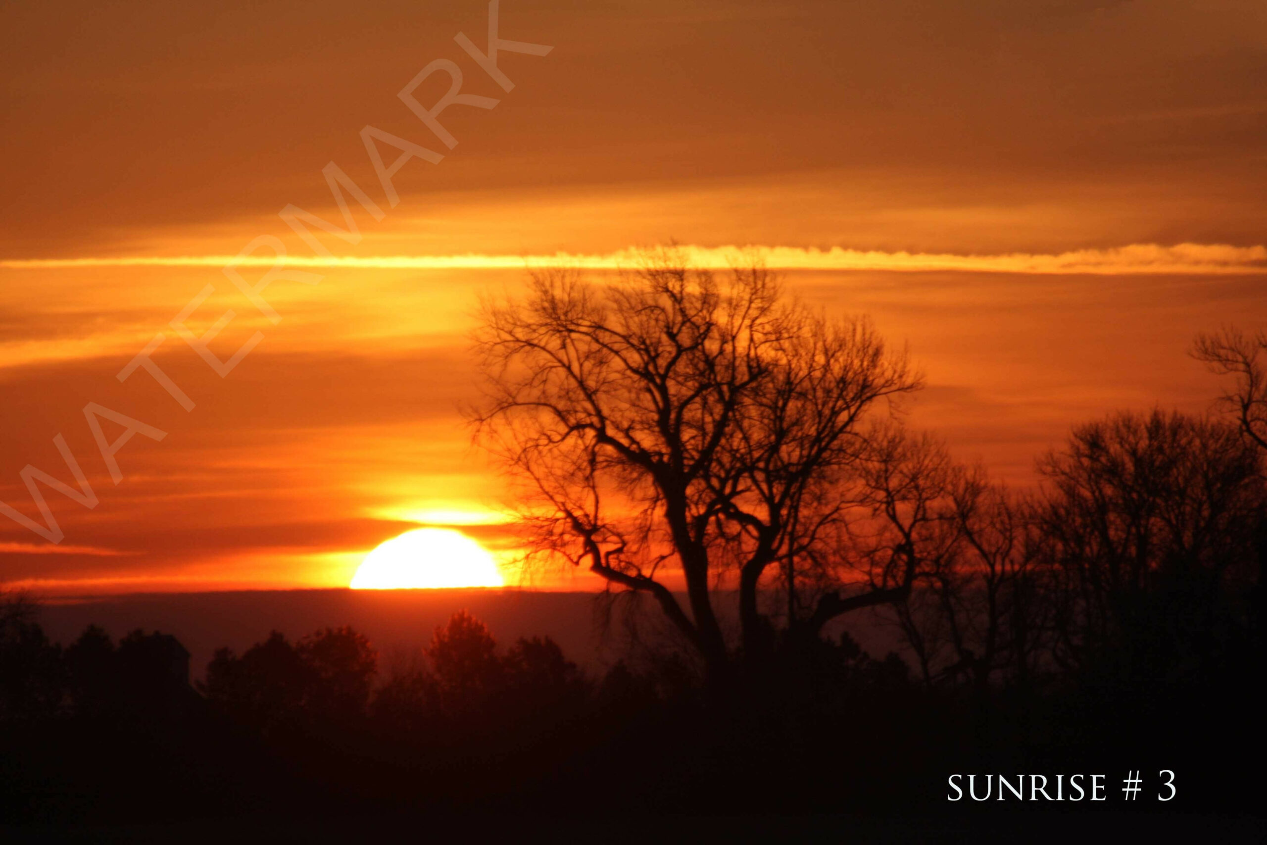 2014-12-04 DLL NE AM 012 # 3 wo br copy_wm