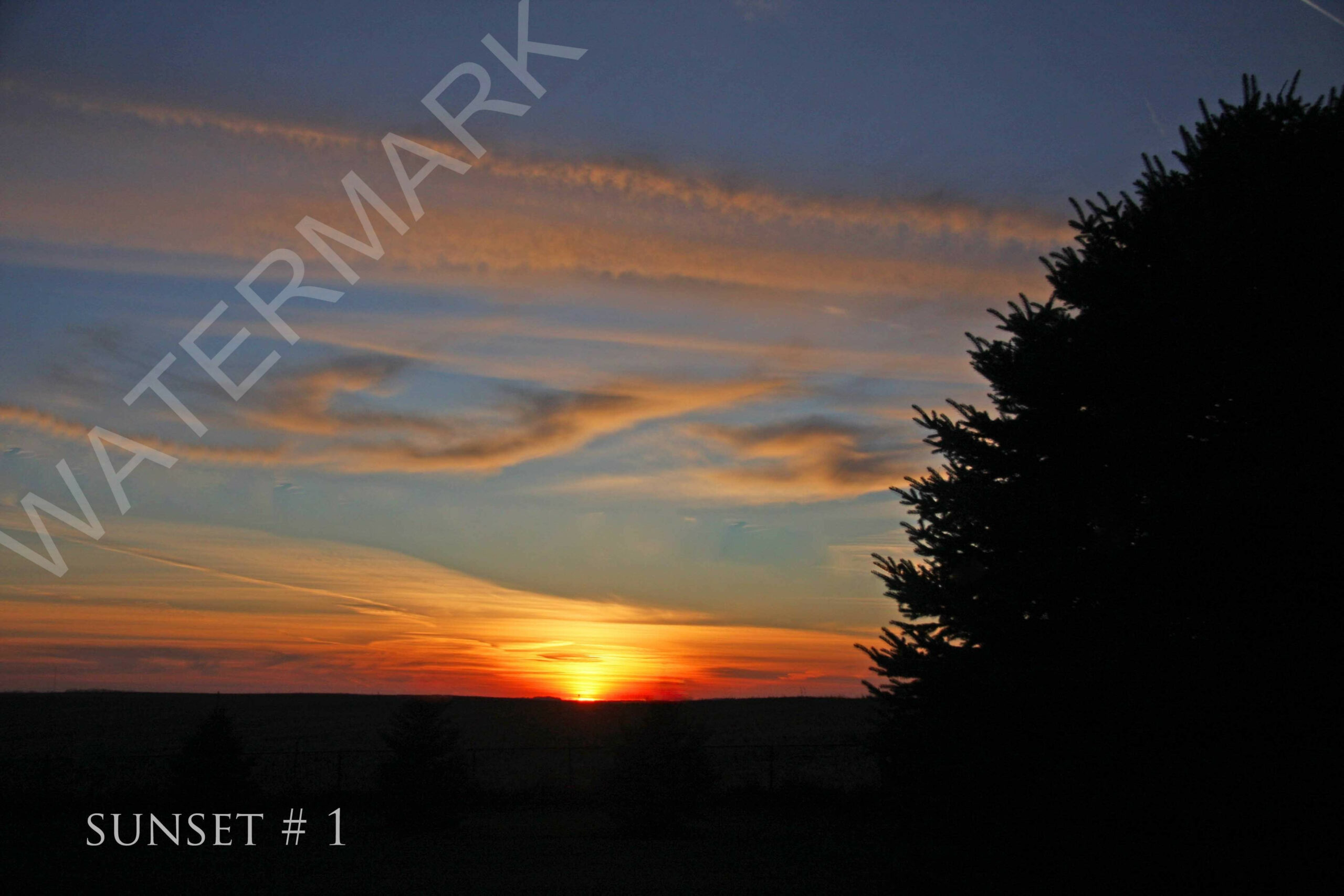 2017-11-15 IMG_0008 DLL NE PM # 1 copy_wm_wm