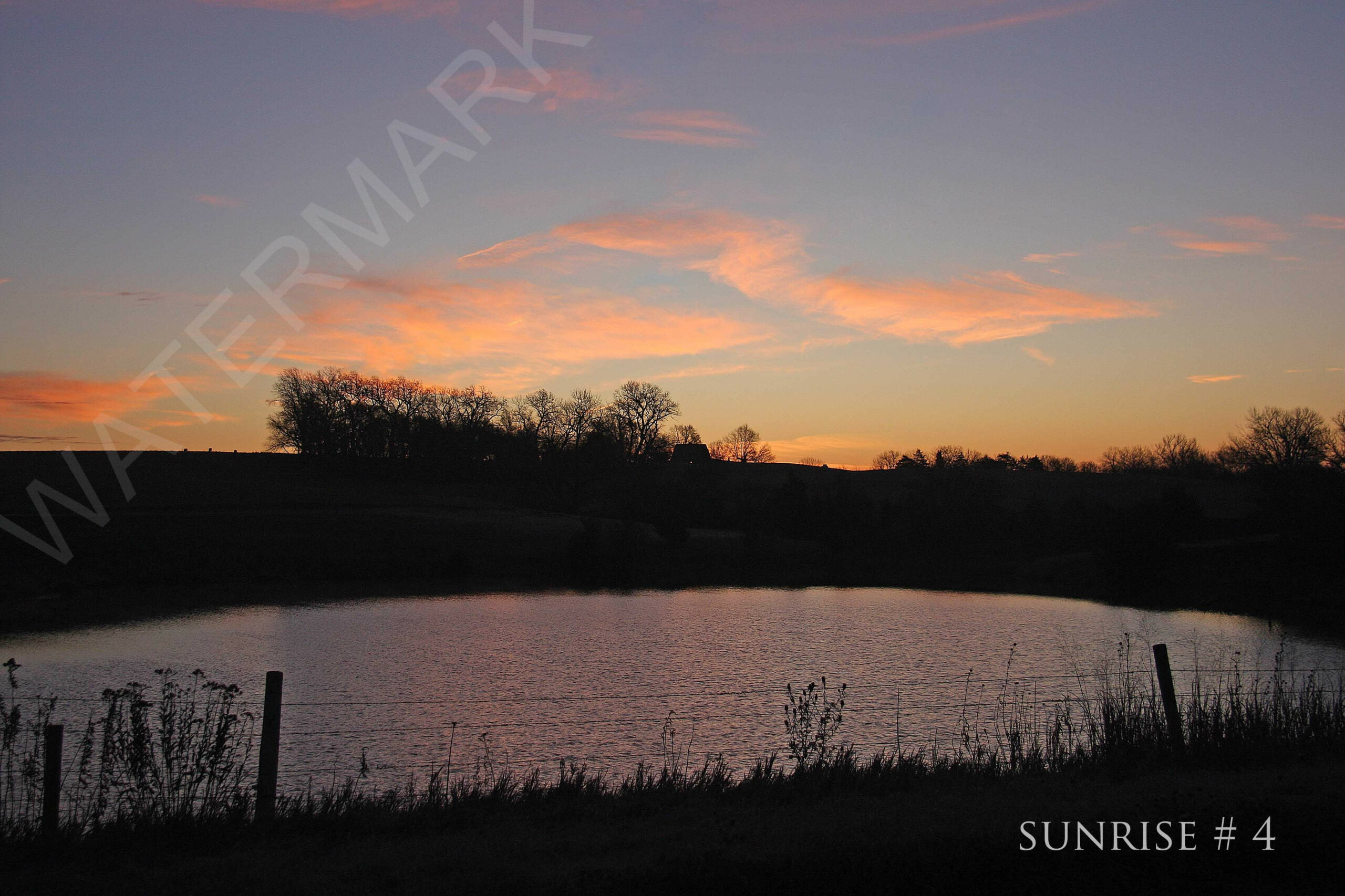 20`17-11-16 IMG_0011 DLL NE AM # 4 copy_wm