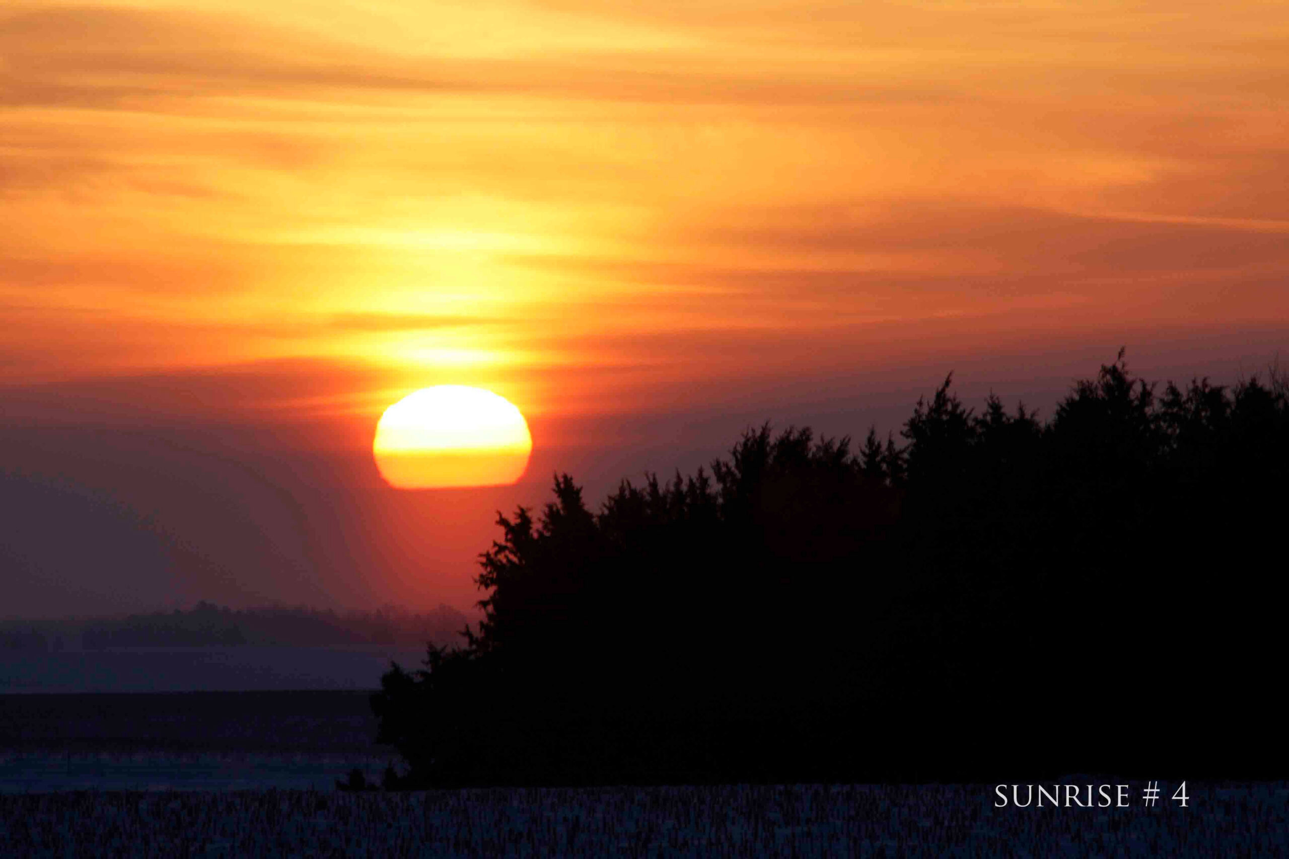 01-26-2011 DLL NE 016 semi #4 copy