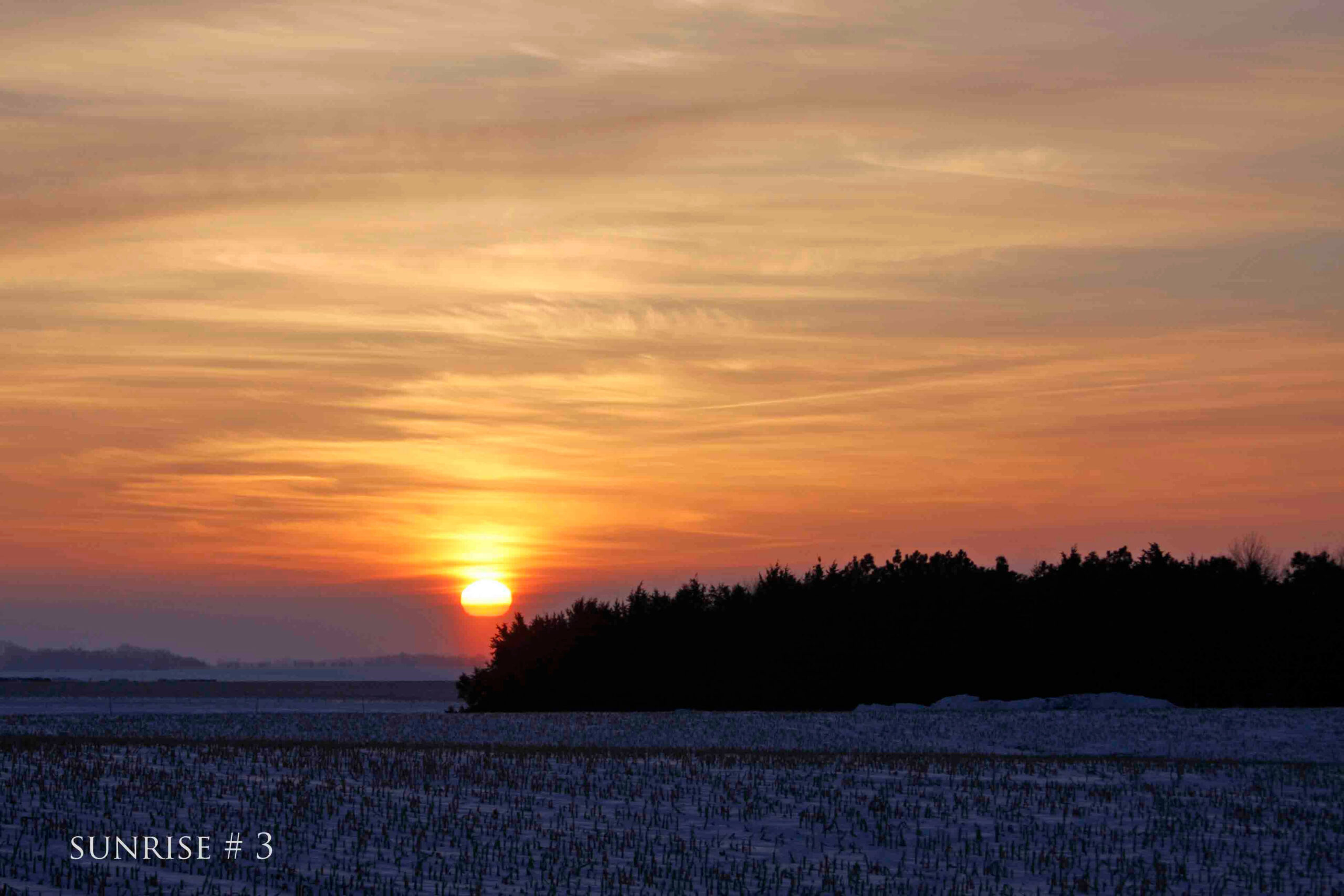 01-26-2011 DLL NE 017 # 3 copy