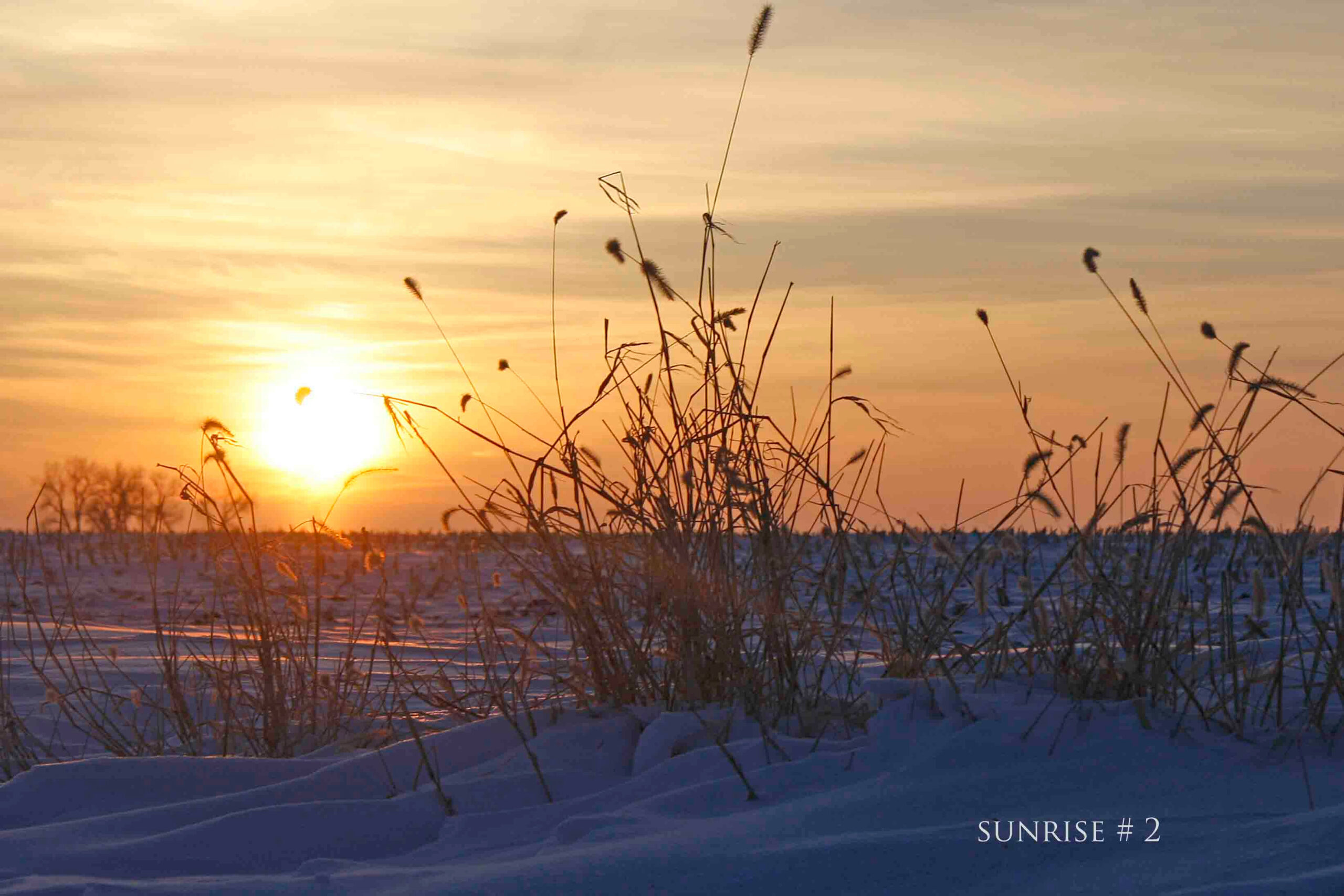 01-26-2011 DLL NE 027 semi crop # 2