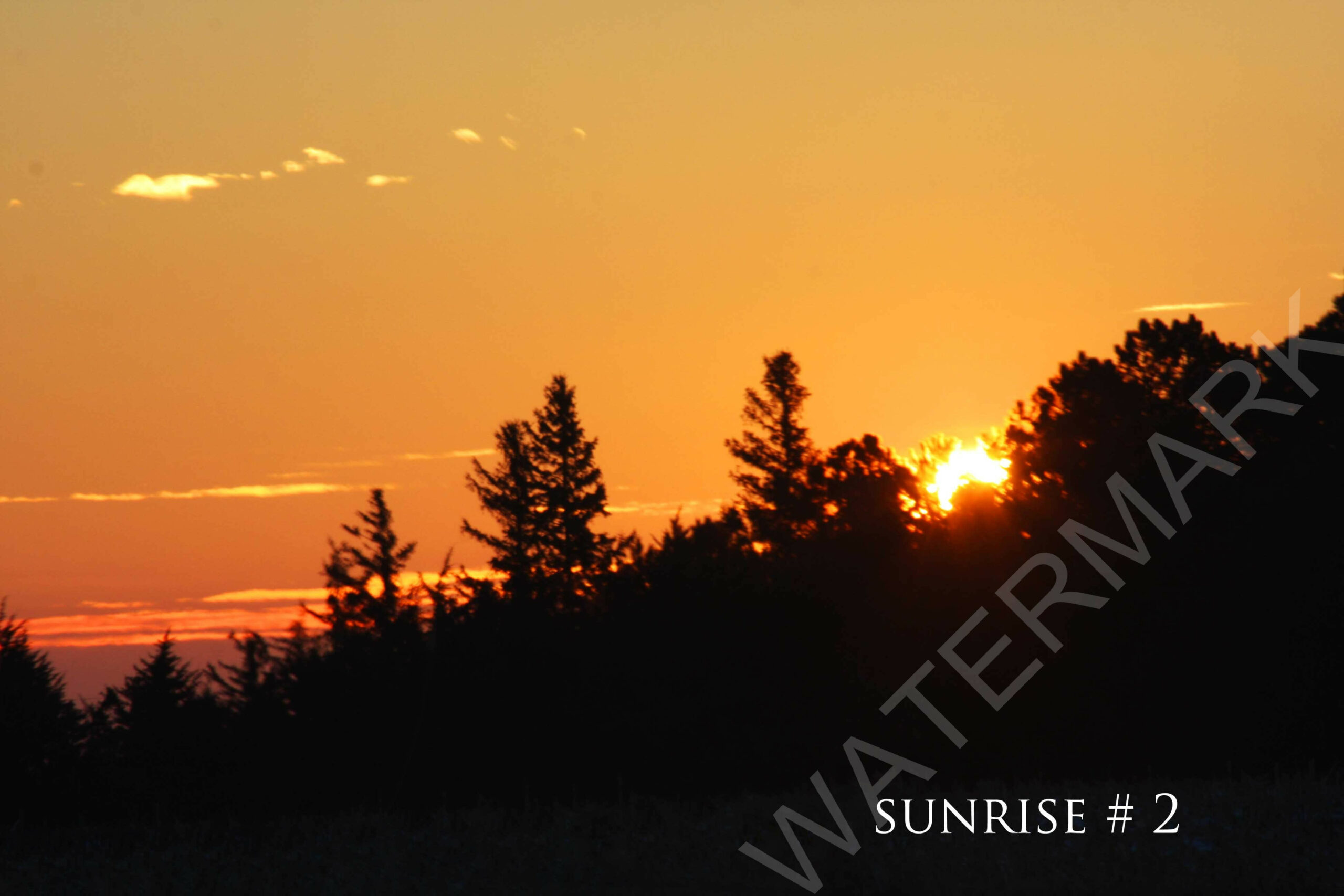 2014-02-07 DLL NE AM 014 # 2 wo br copy_wm