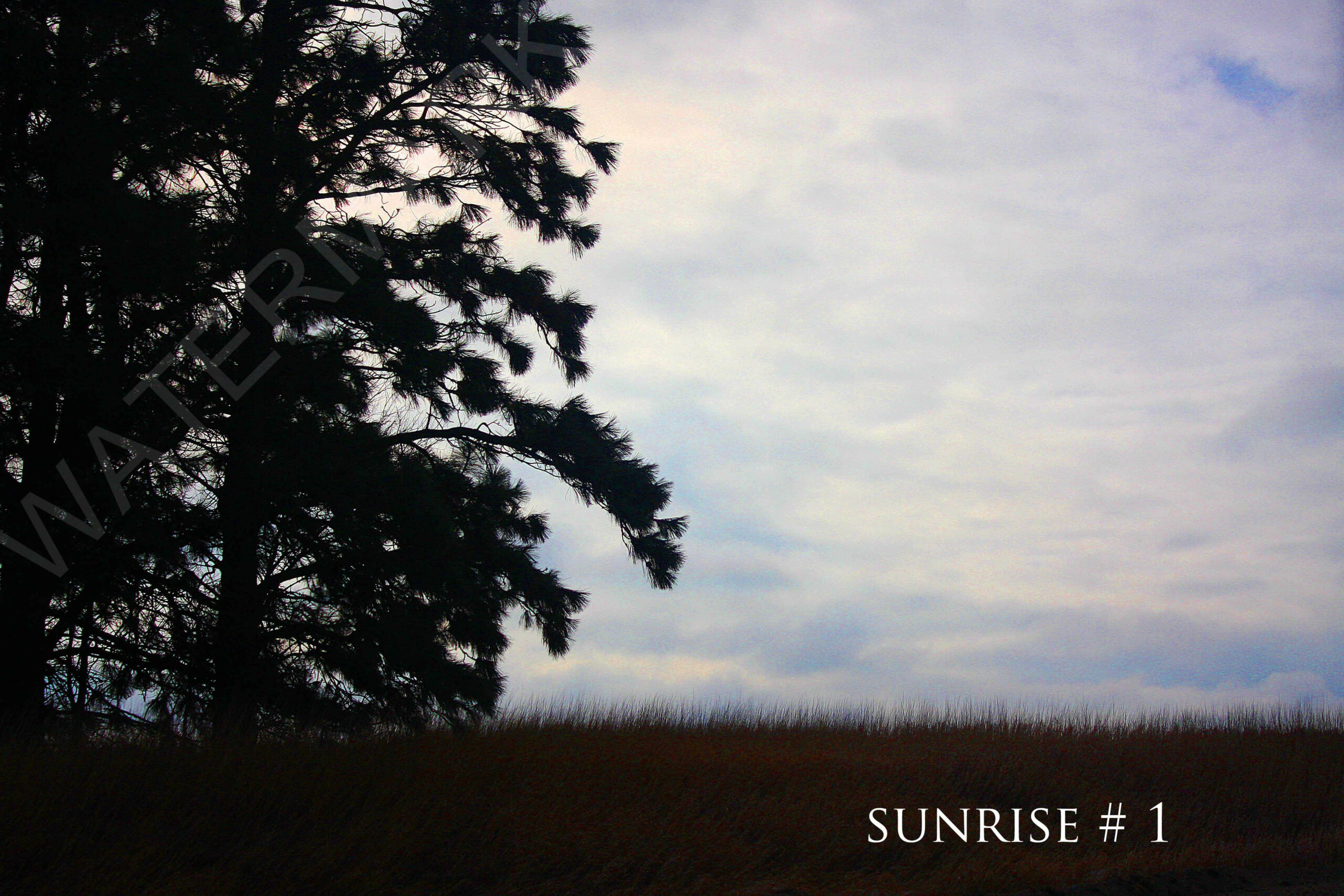 2014-02-14 DLL NE AM 005 # 1 wo br copy_wm