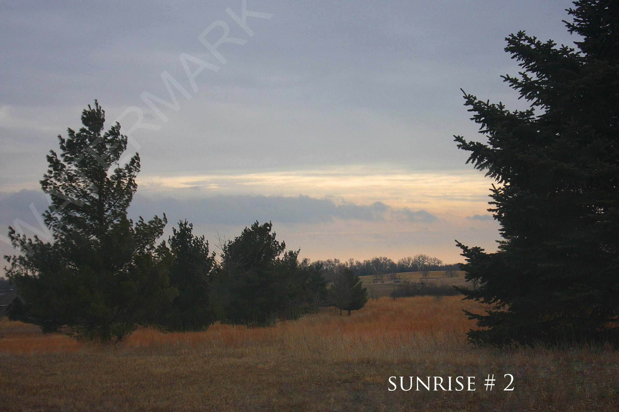 2014-02-14 DLL NE AM 019 # 2 wo br copy_wm