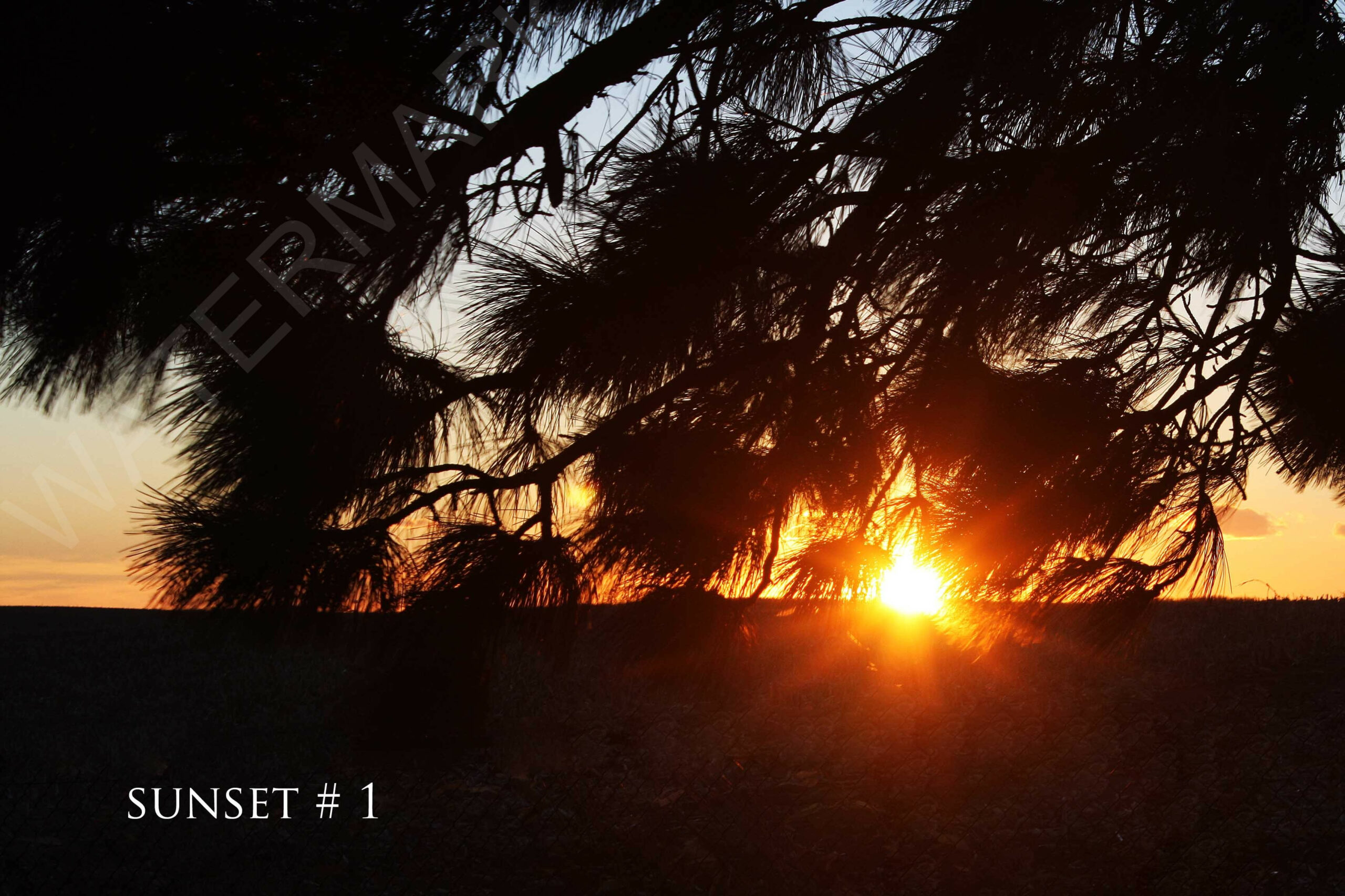 2014-02-14 DLL NE PM 003 # 1 wo br copy_wm