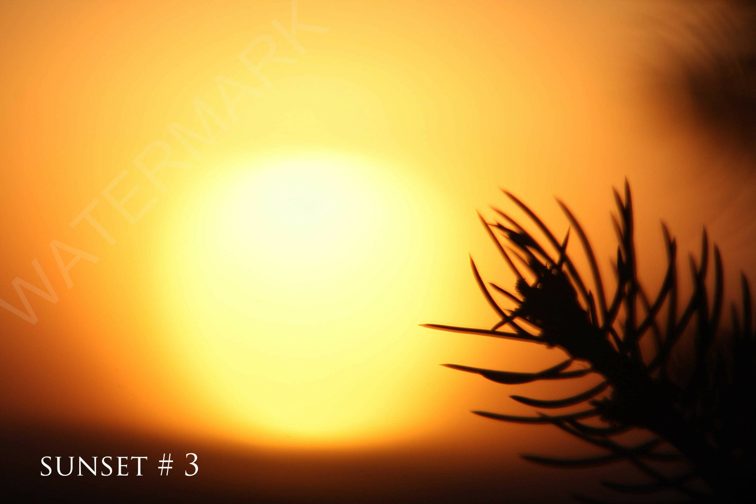 2014-02-14 DLL NE PM 013 # 3 wo br copy_wm