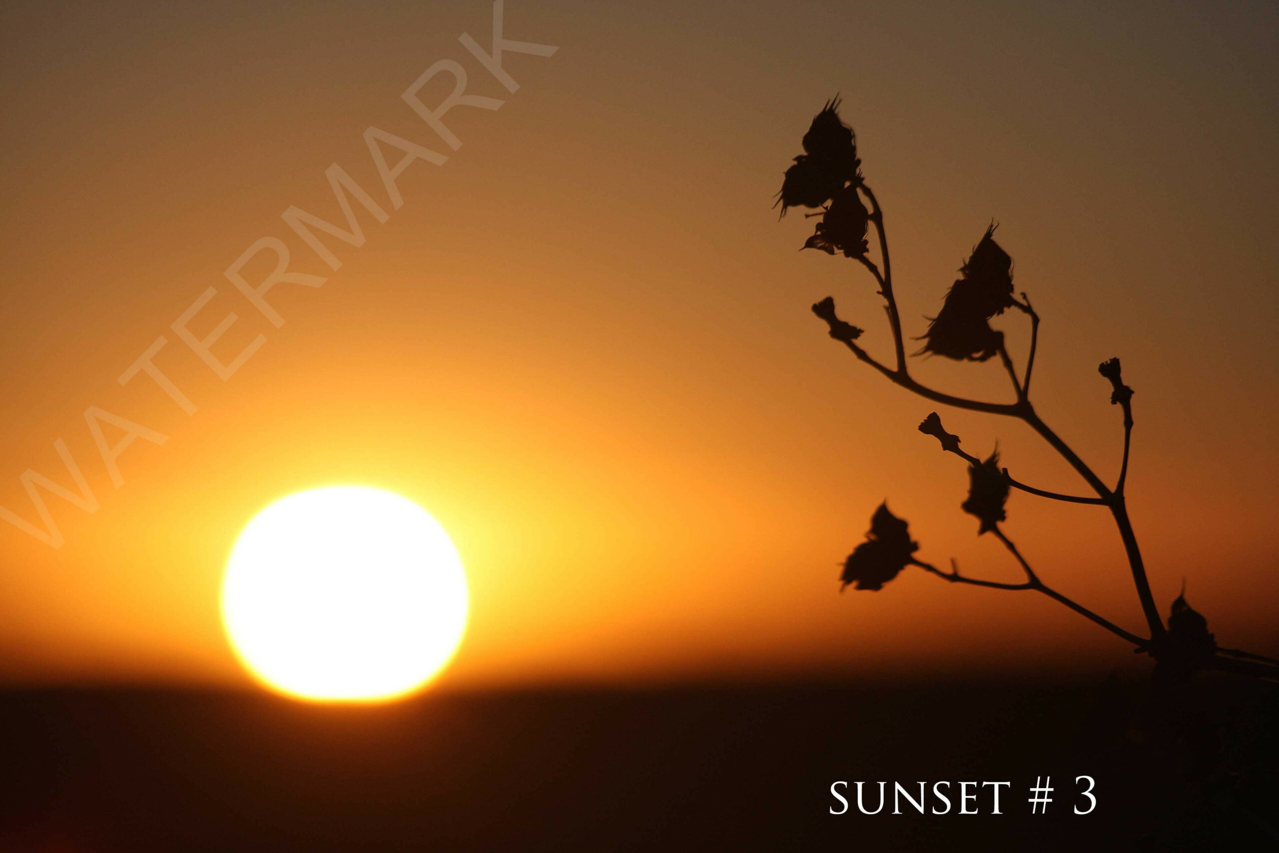 2014-02-18 DLL NE PM 028 #3 wo br copy_wm