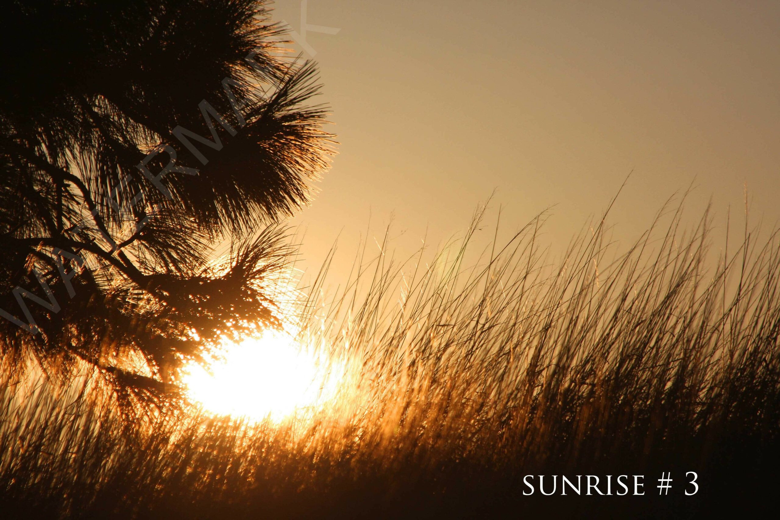 2014-02-19 DLL NE PM 021 # 3 wo br copy_wm