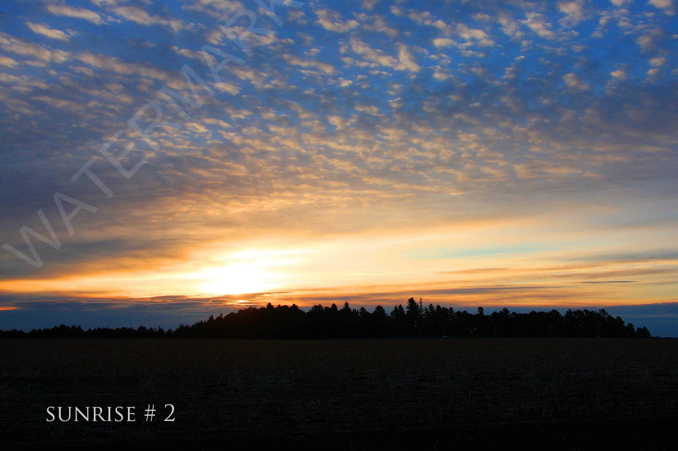 2014-02-22 DLL NE AM 018 # 2 wo br copy_wm