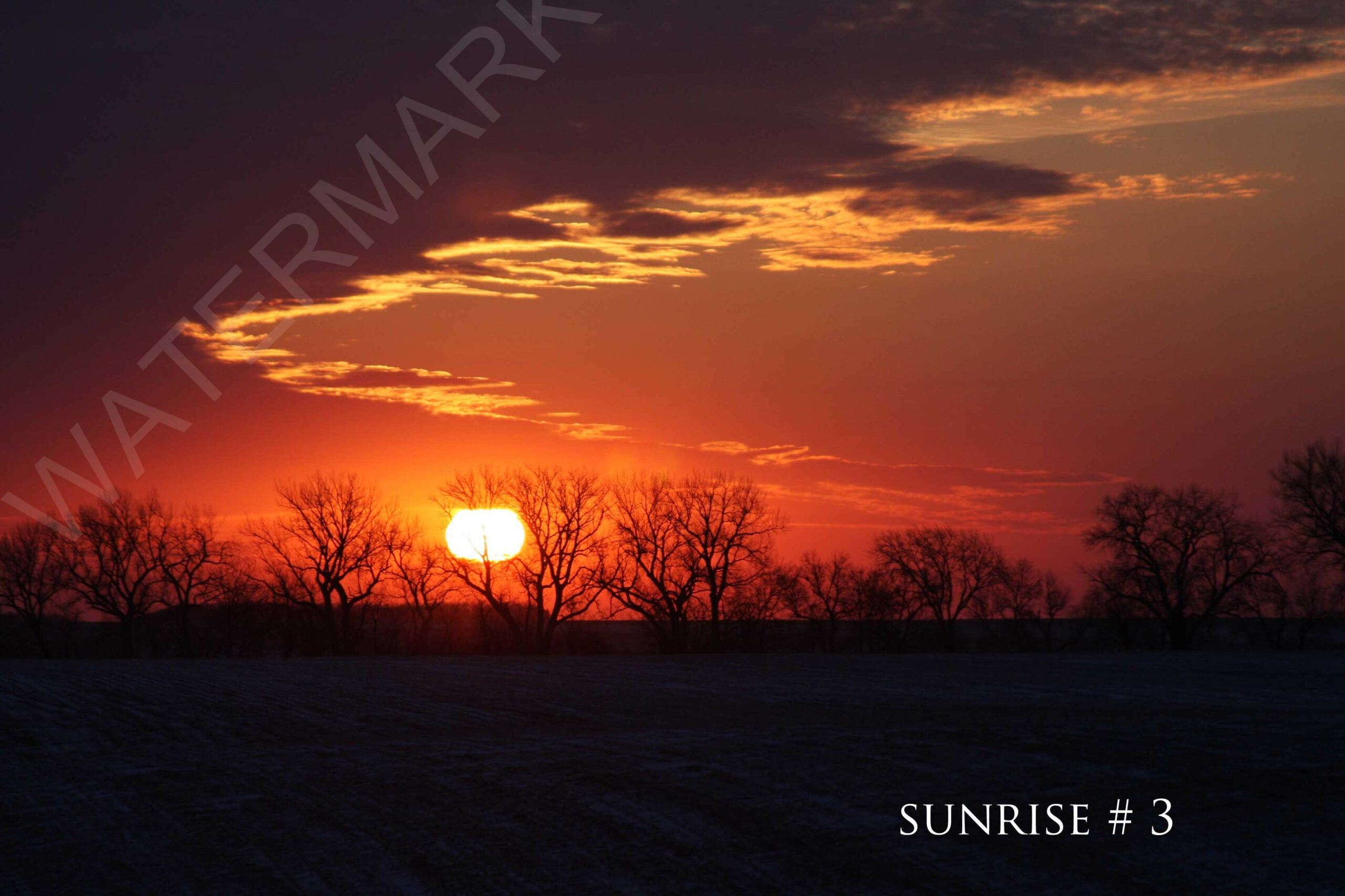 2014-02-28 DLL NE AM 040 # 3 wo br copy_wm