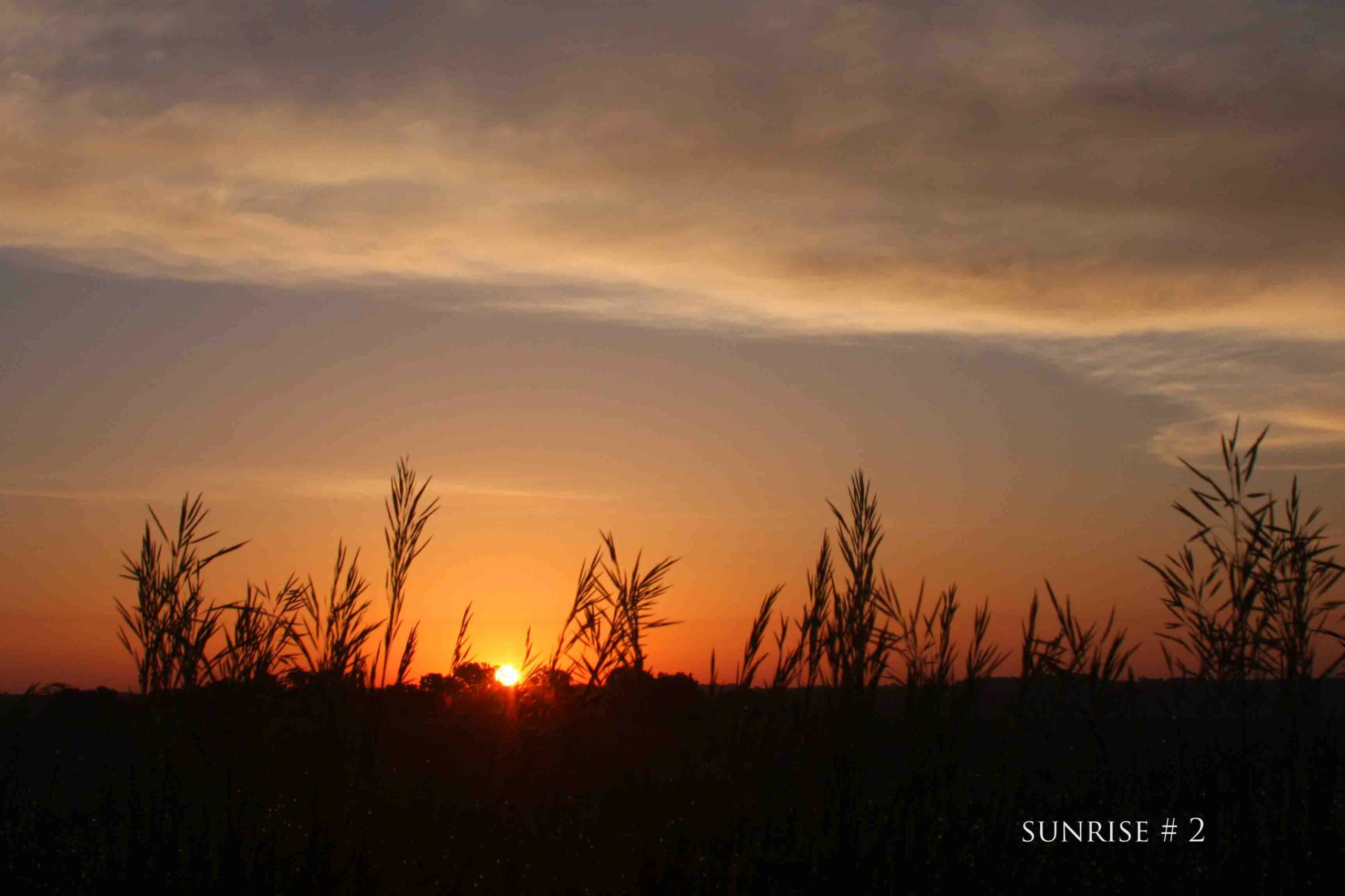 2014-06-03 DLL NE AM 010 # 2