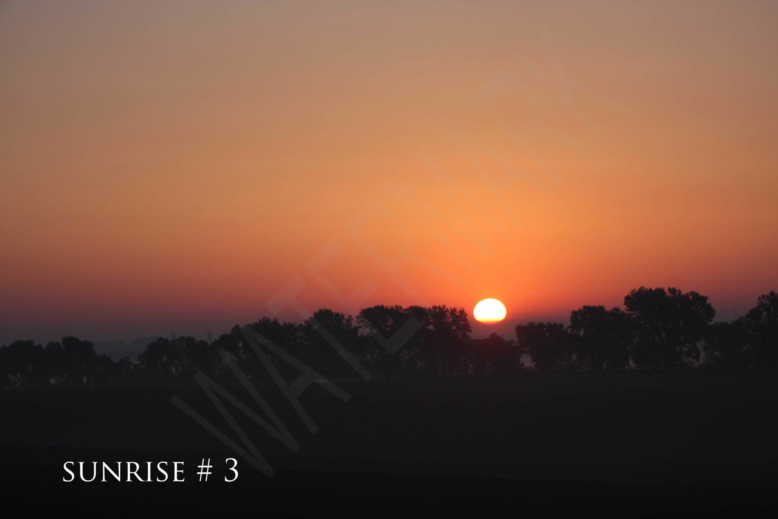 2014-06-06 DLL NE AM 006 # 3 wo br copy_wm