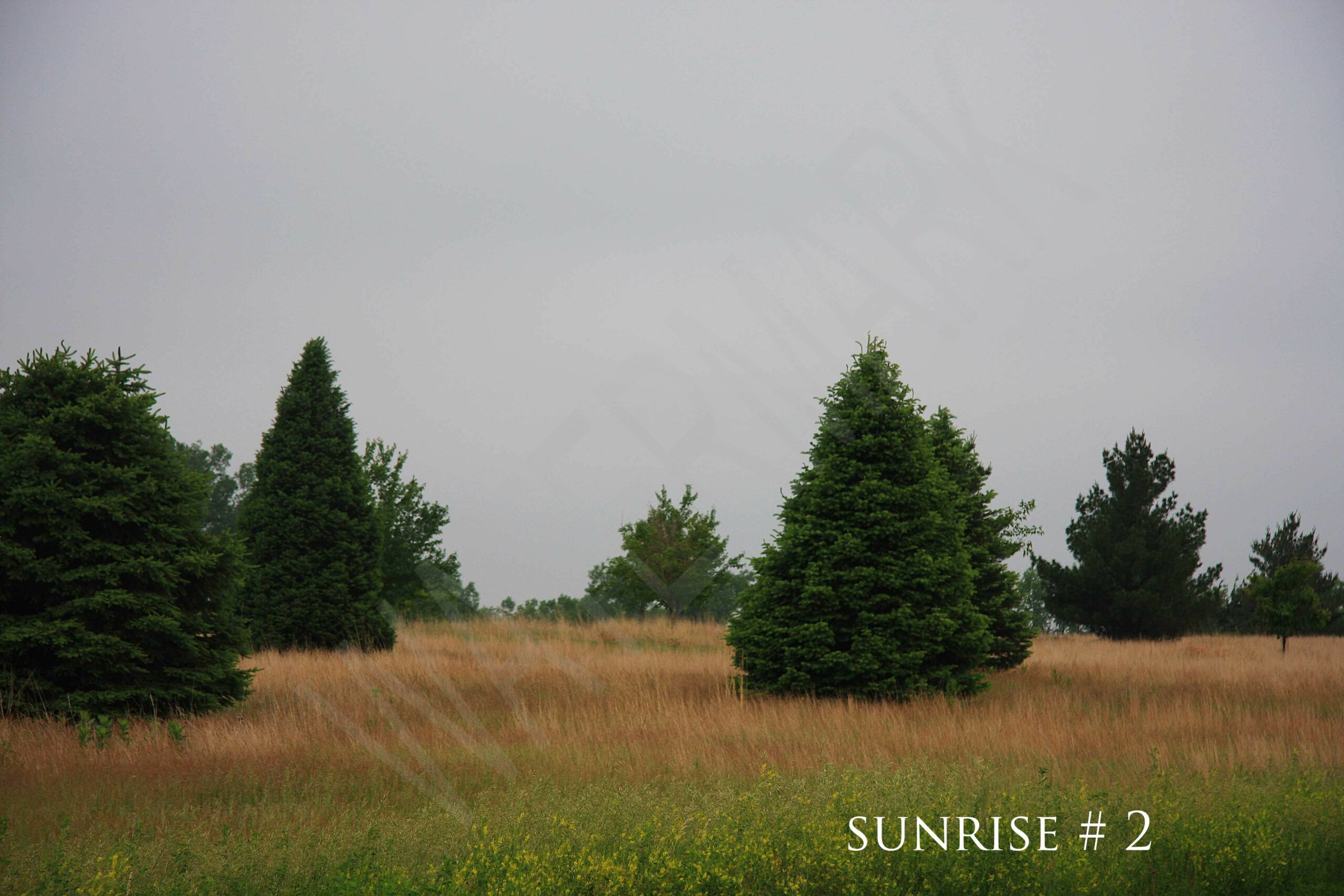 2014-06-09 DLL NE AM 003 # 2 wo br copy_wm_wm