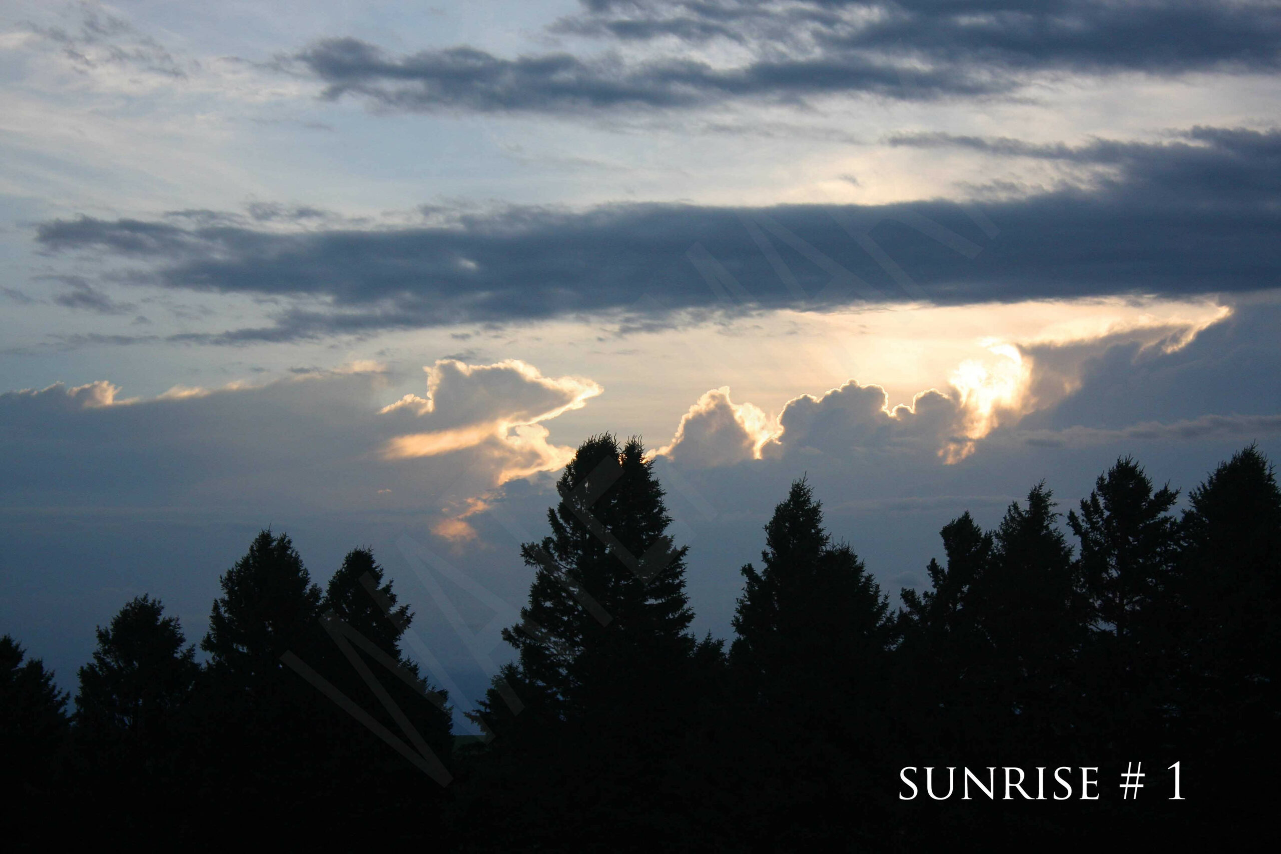 2014-06-19 DLL NE AM 005 # 1 wo br copy_wm