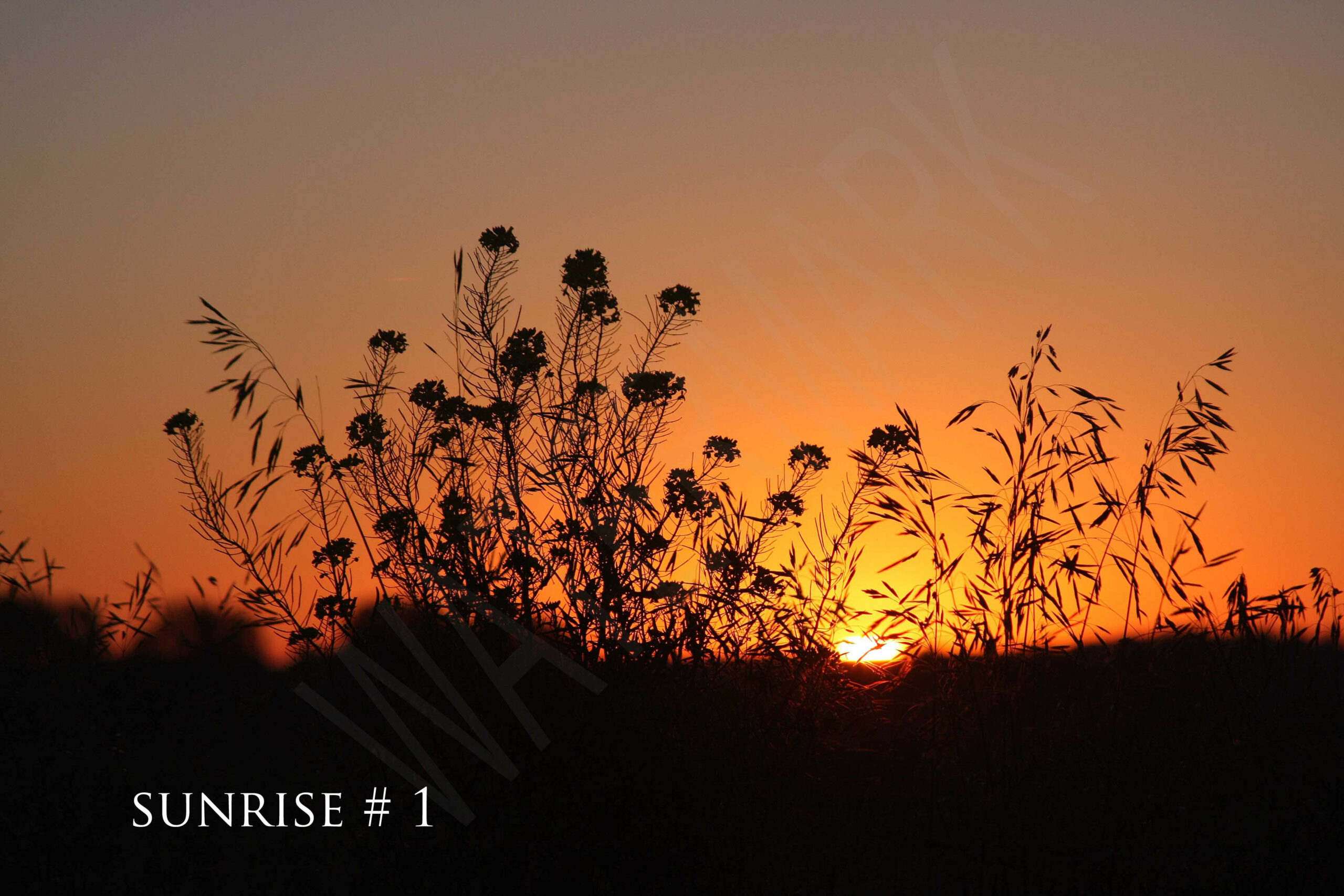 2014-06-20 DLL NE AM 002 # 1 wo br copy_wm