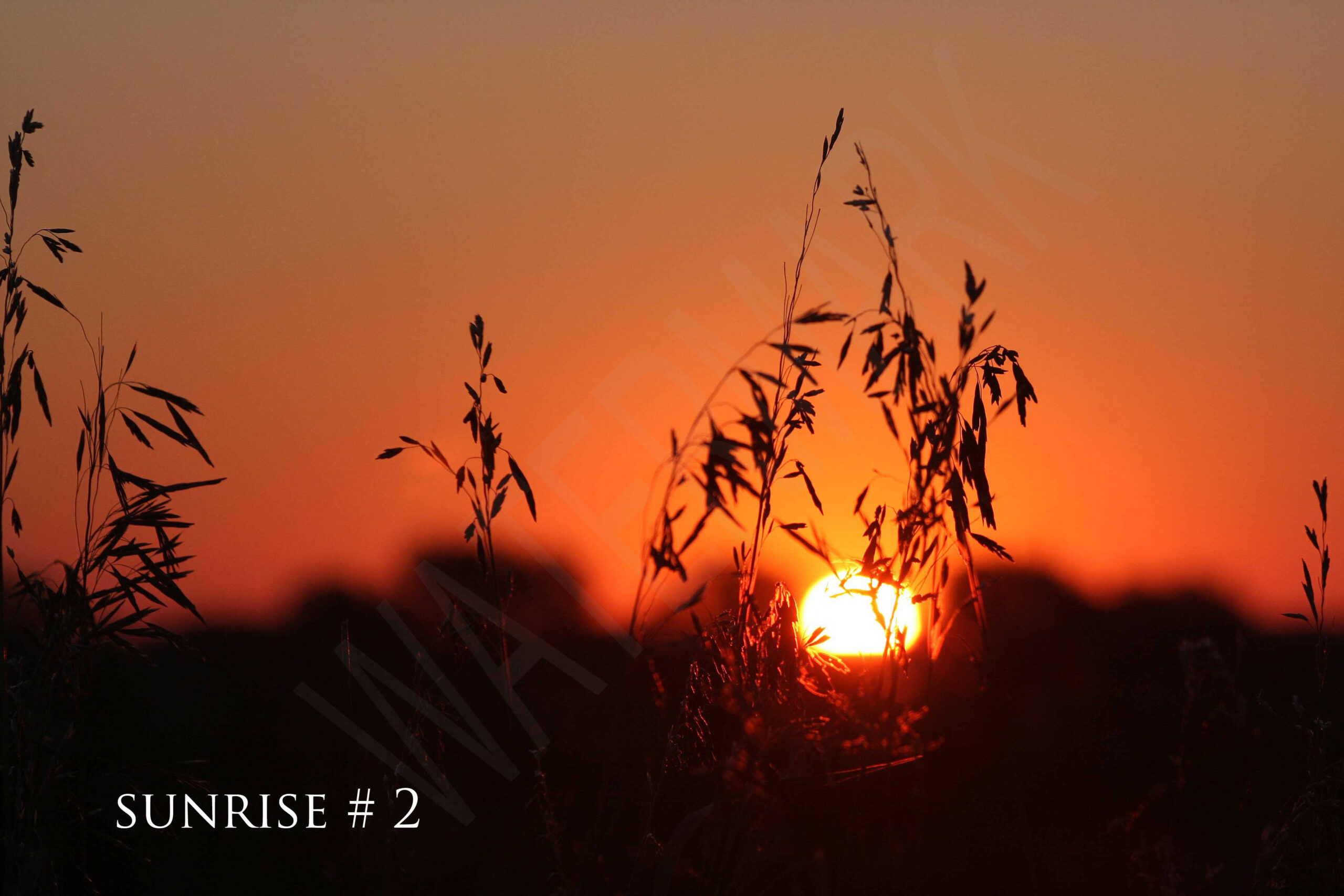 2014-07-08 DLL NE AM 014 # 2 wo br copy_wm